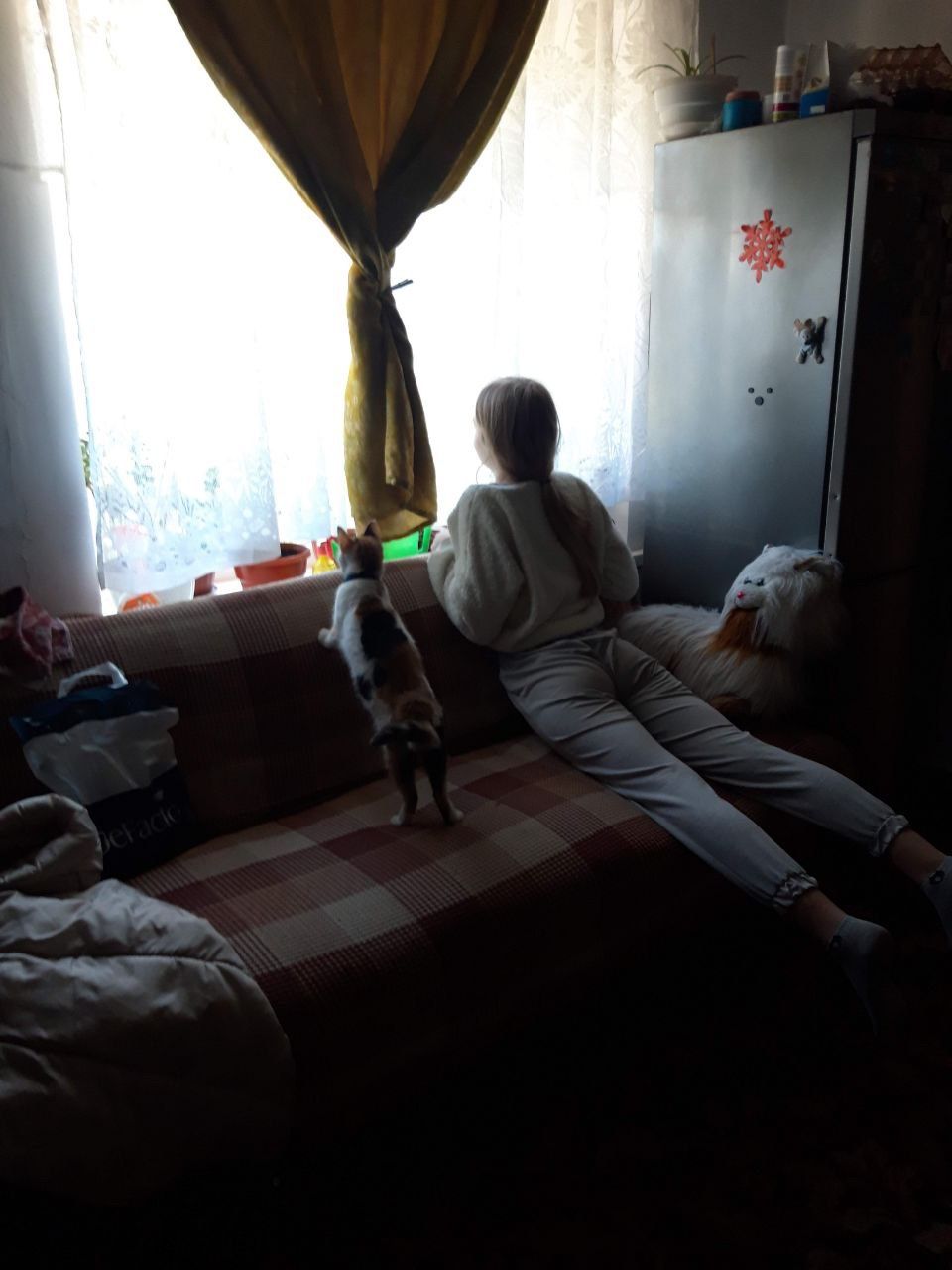 image-16