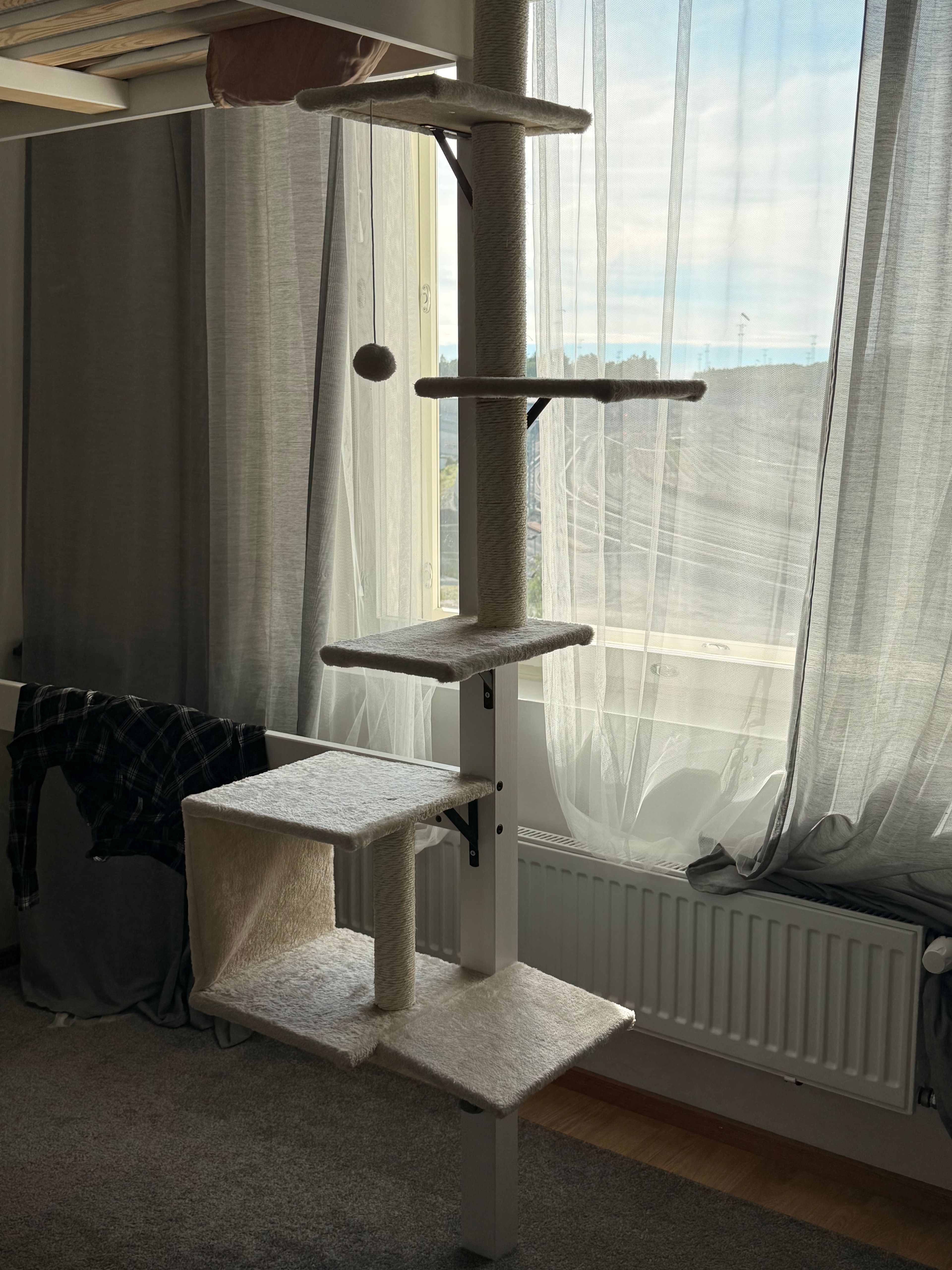image-24
