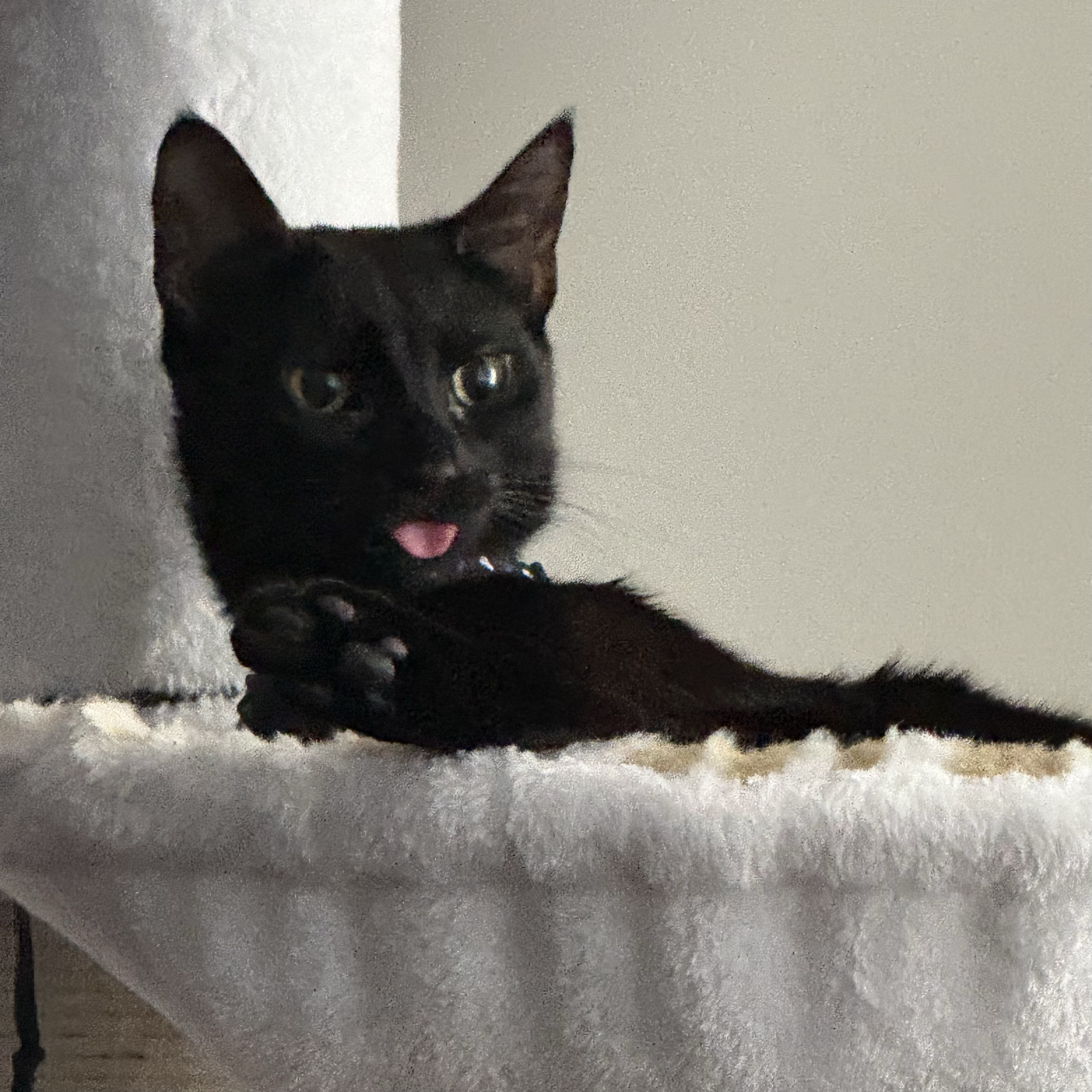 Mia