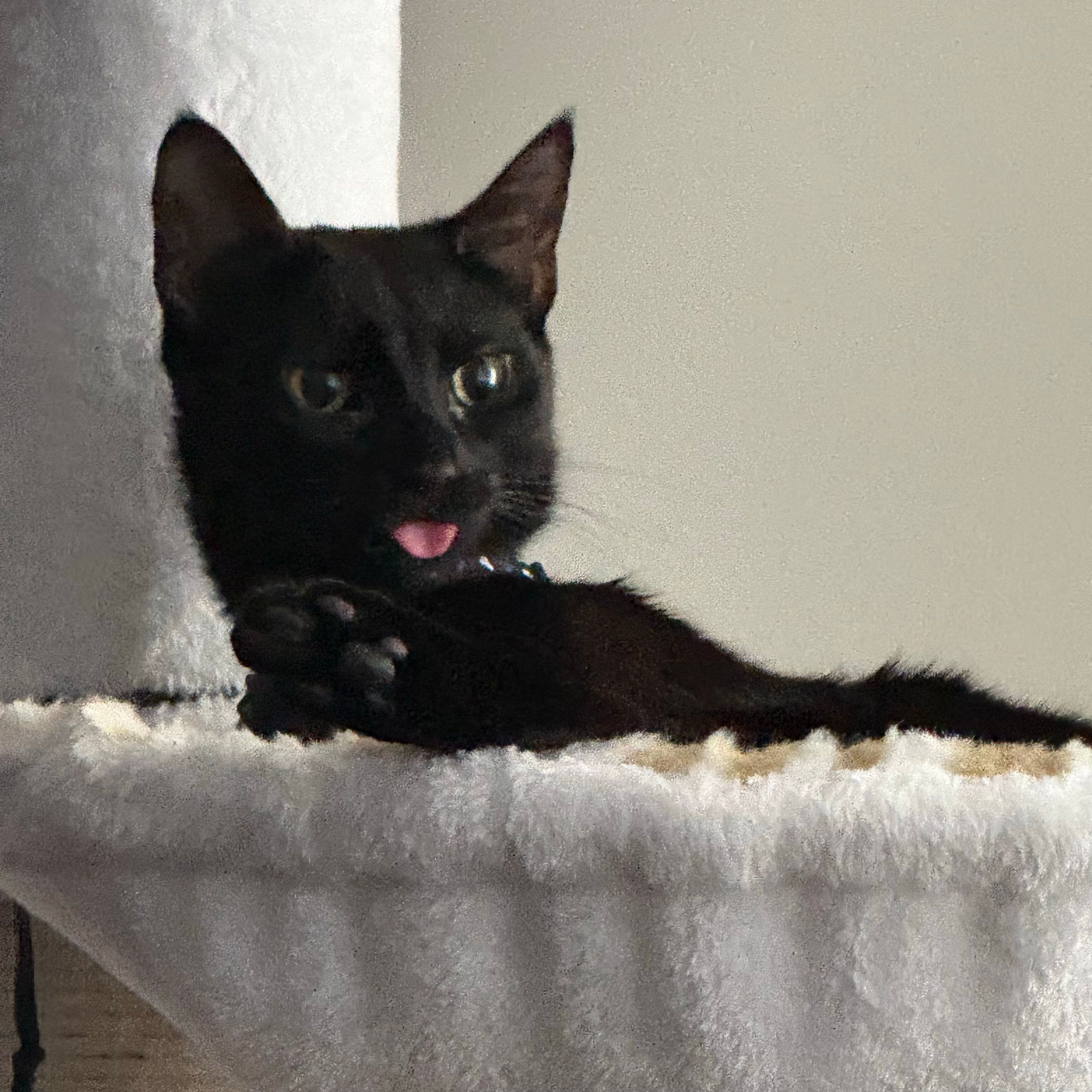 Mia