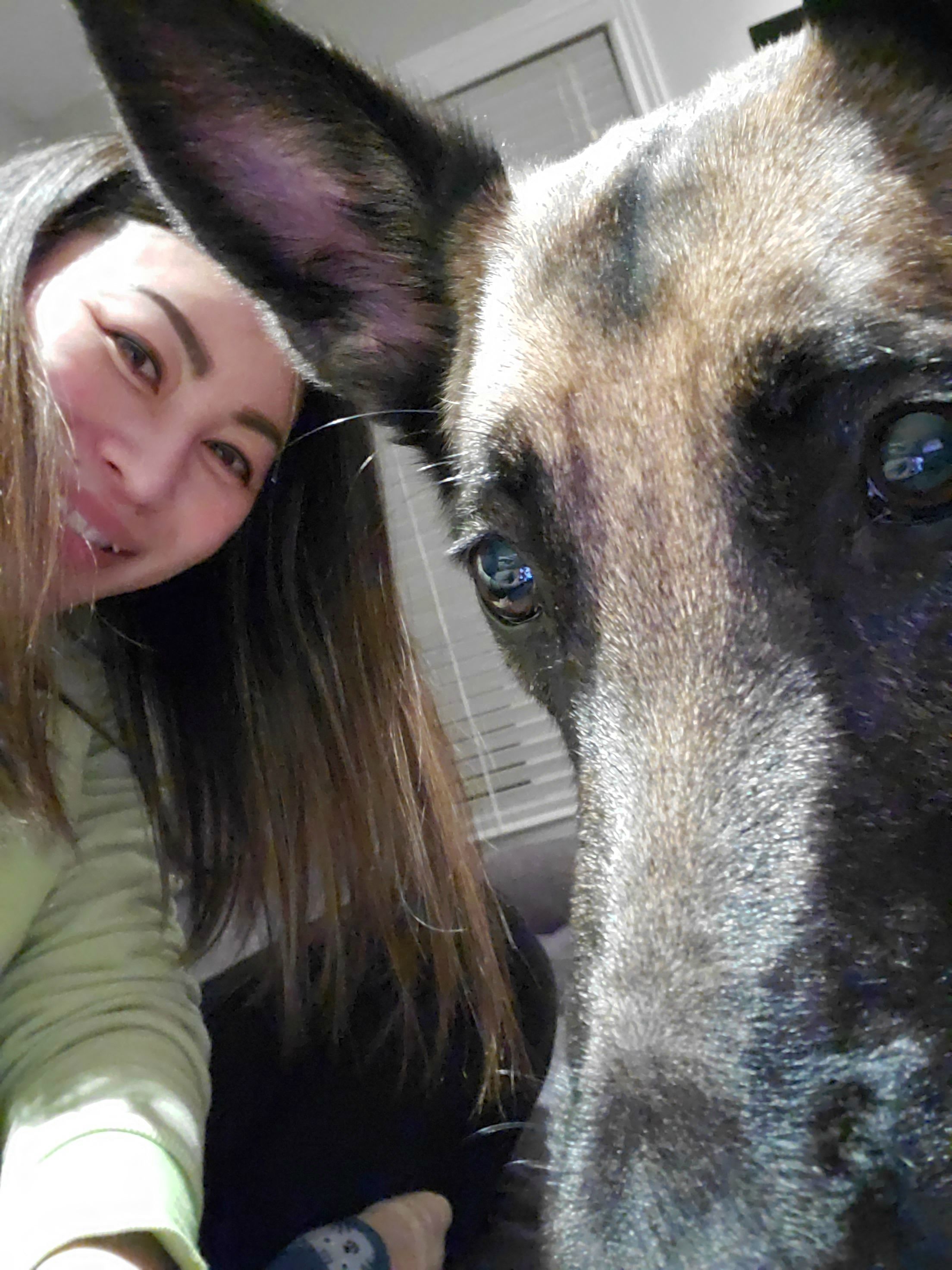 image-19