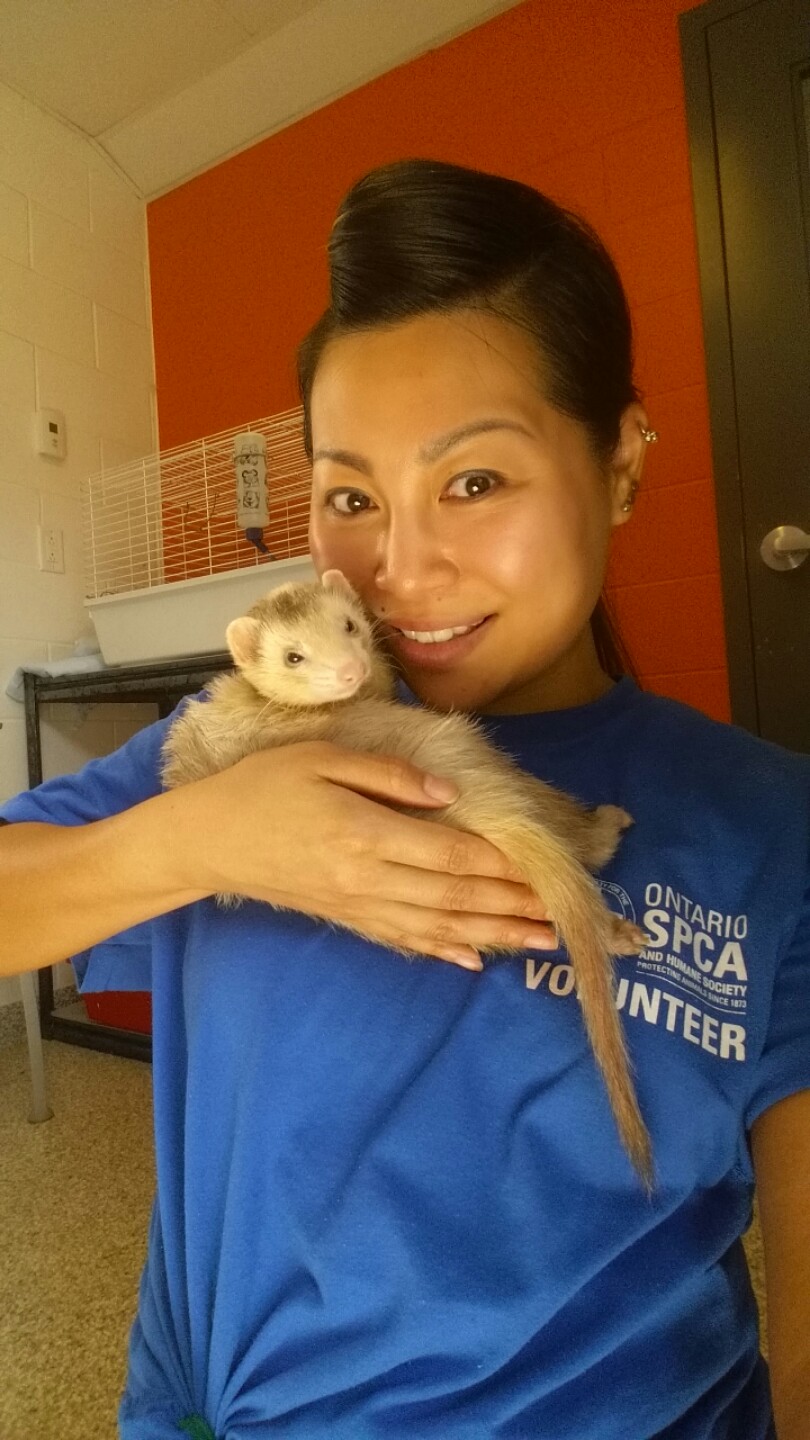 image-9