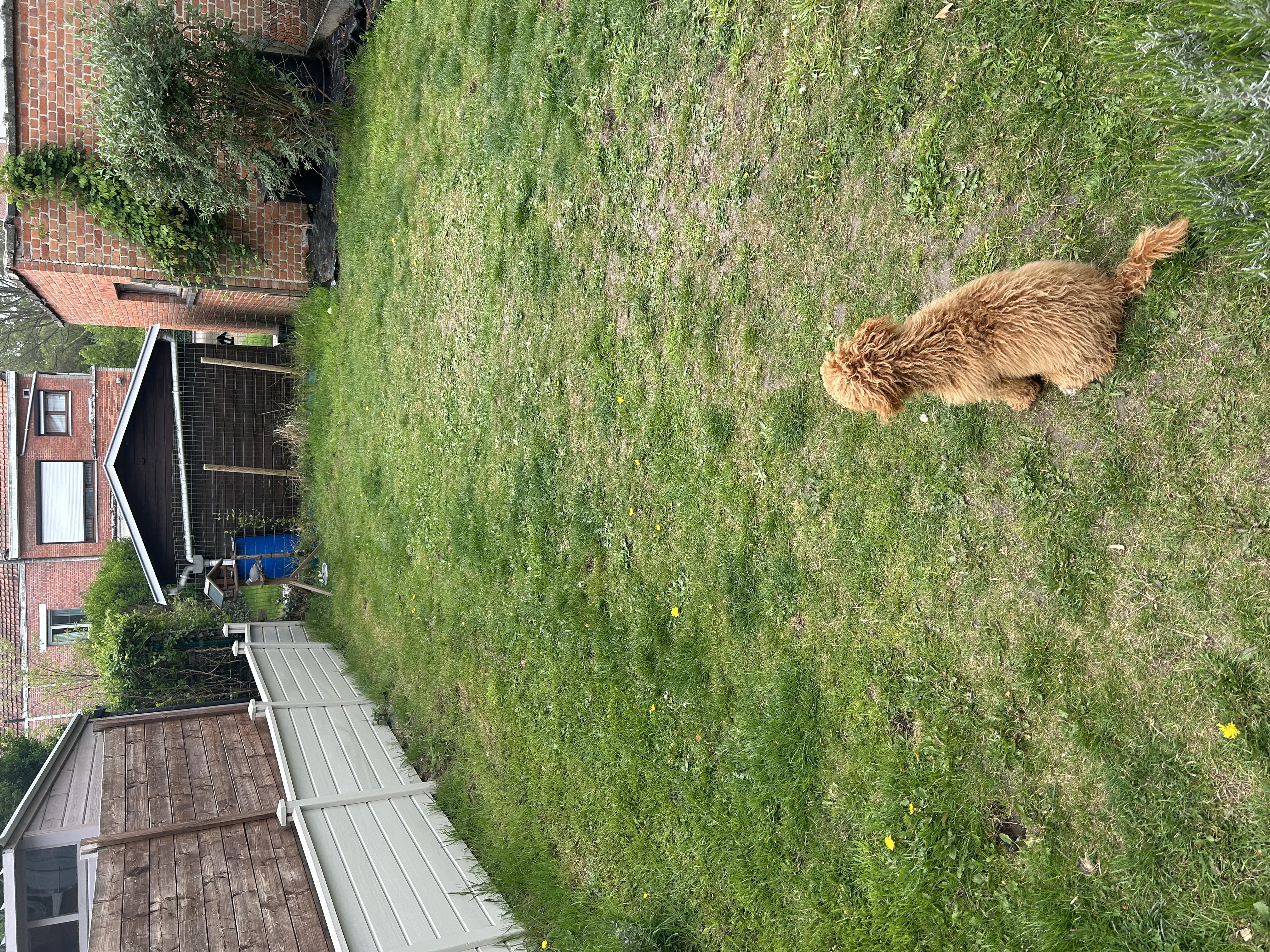 image-11