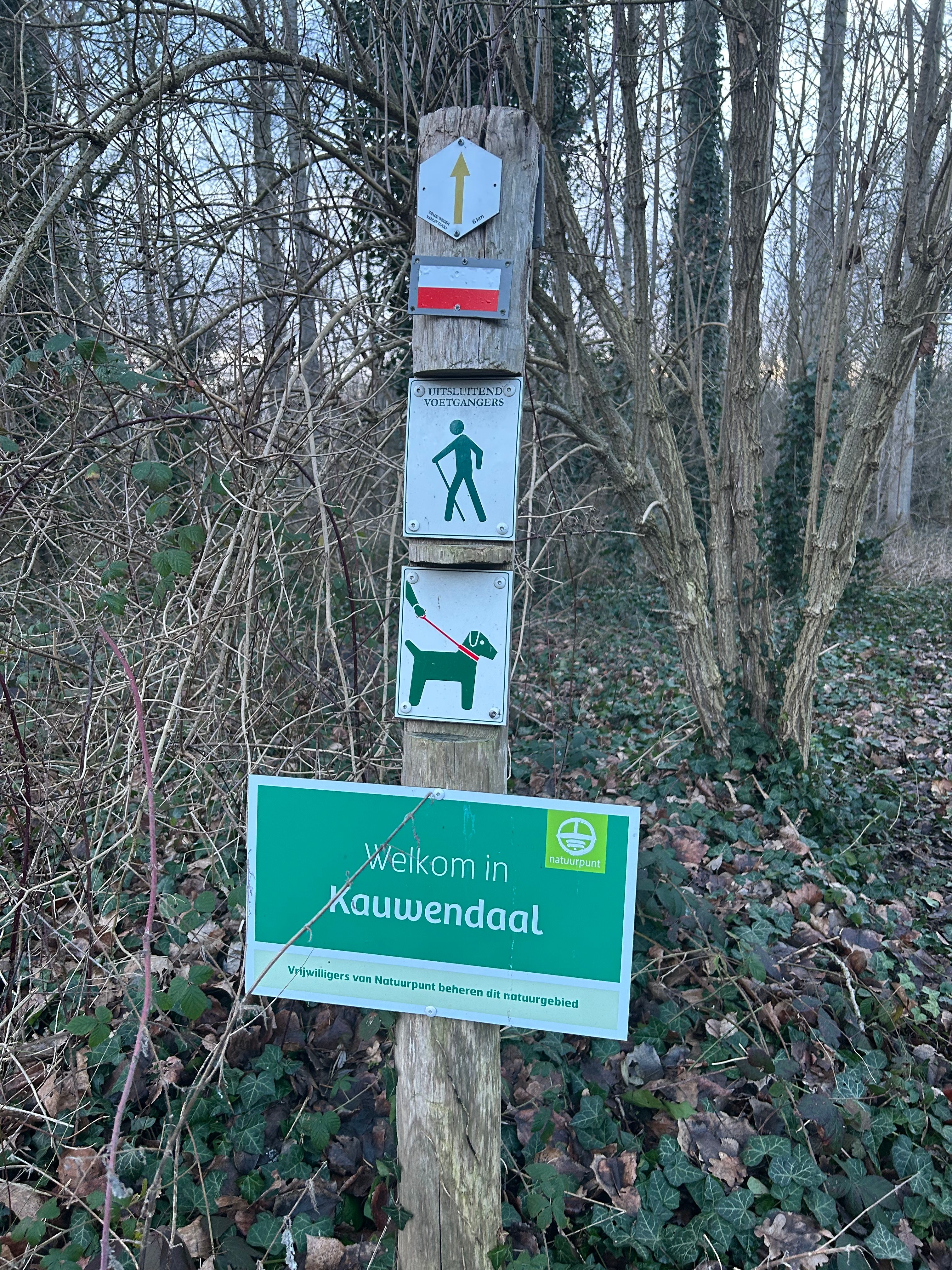 image-10