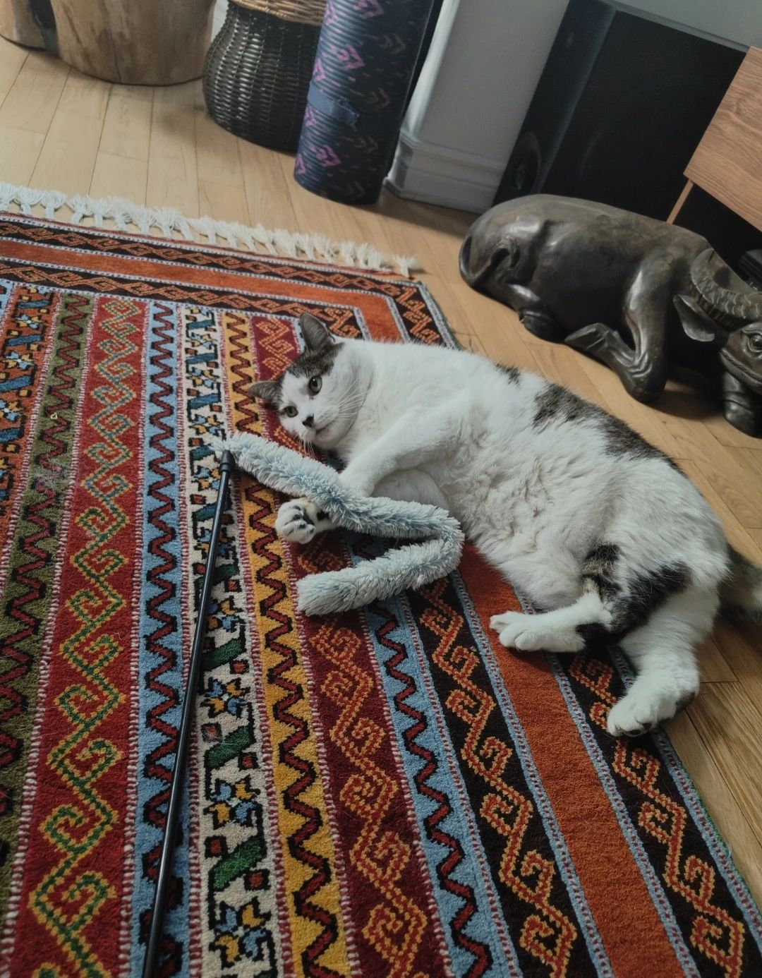 image-15