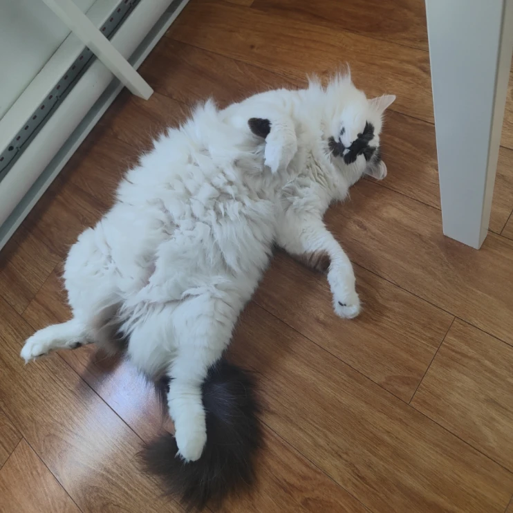 Michka