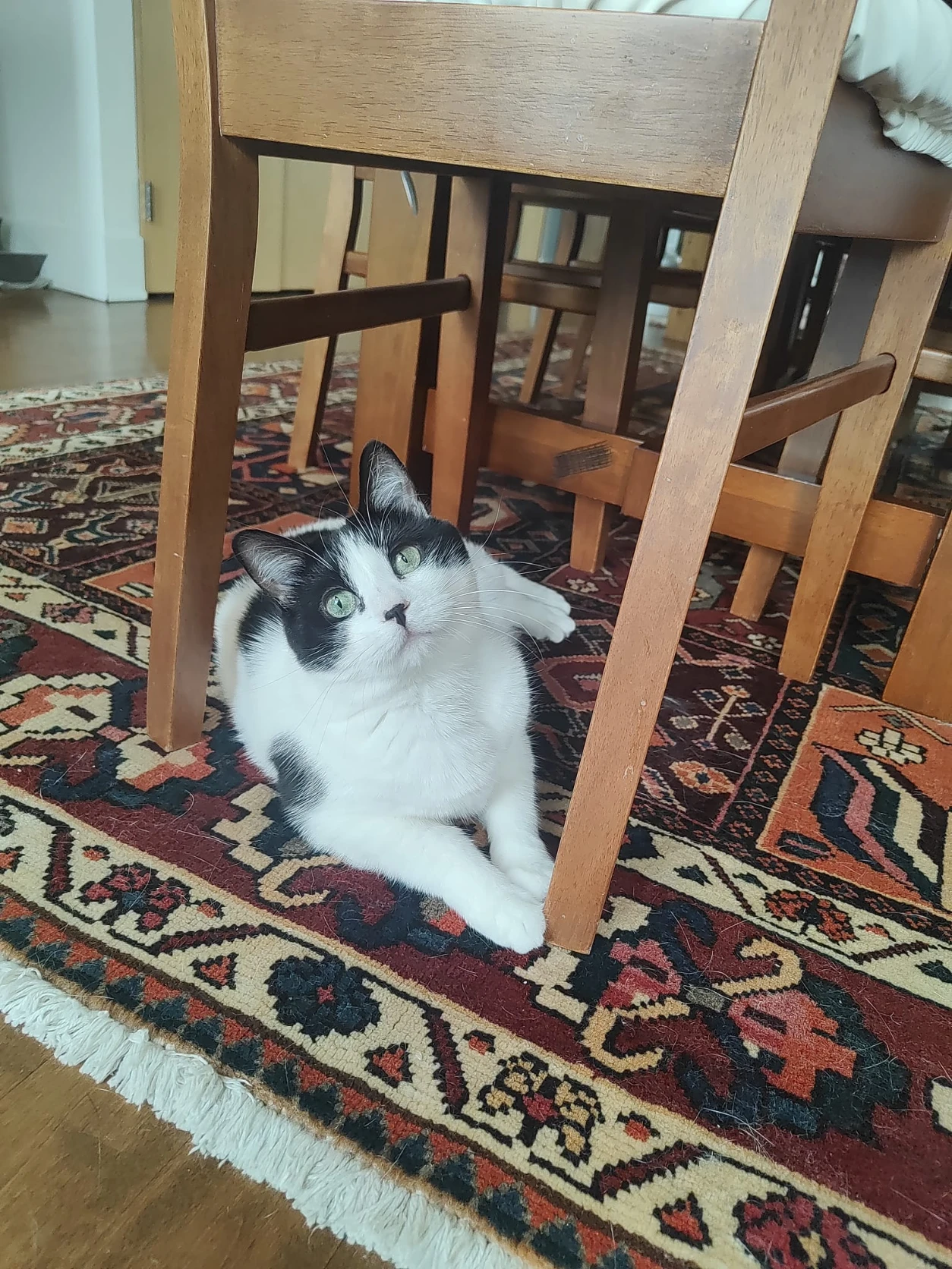 image-10