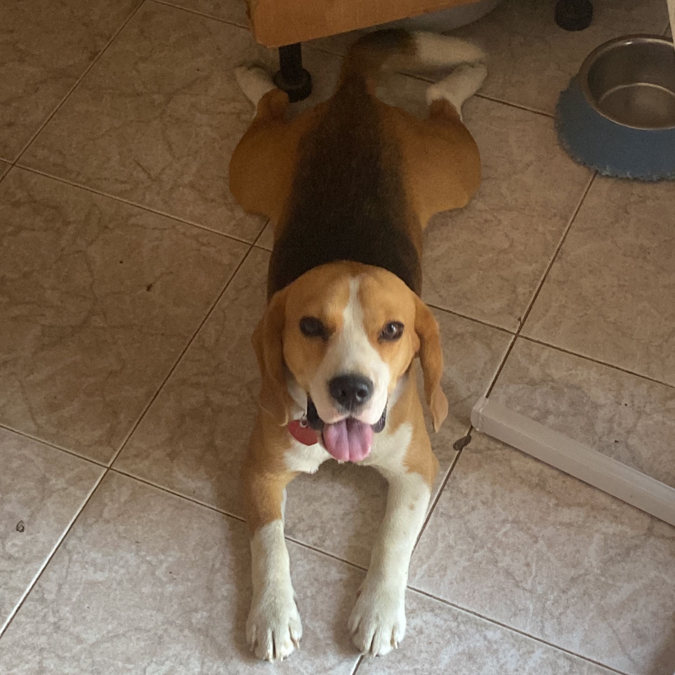 Benji