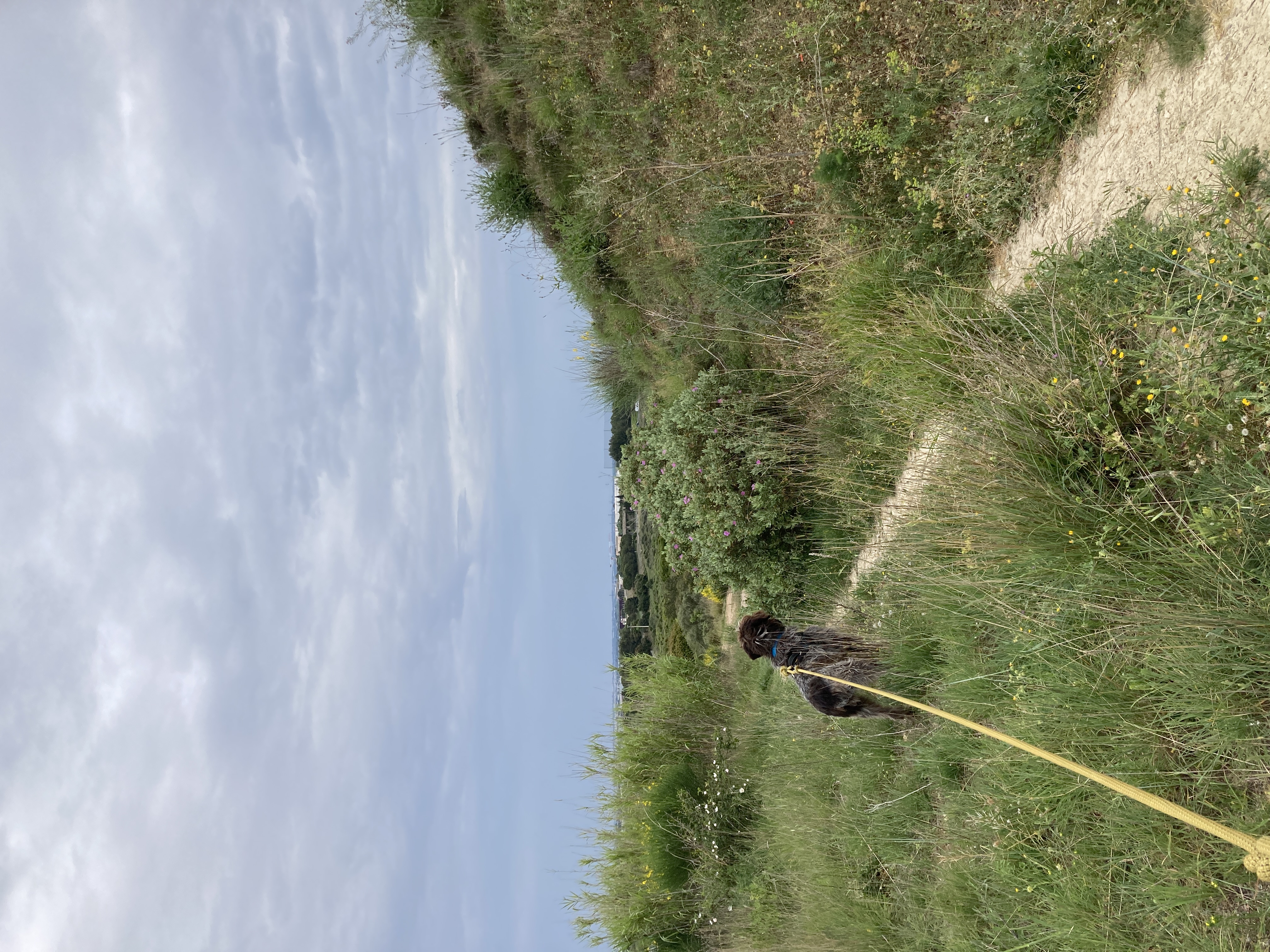 image-15