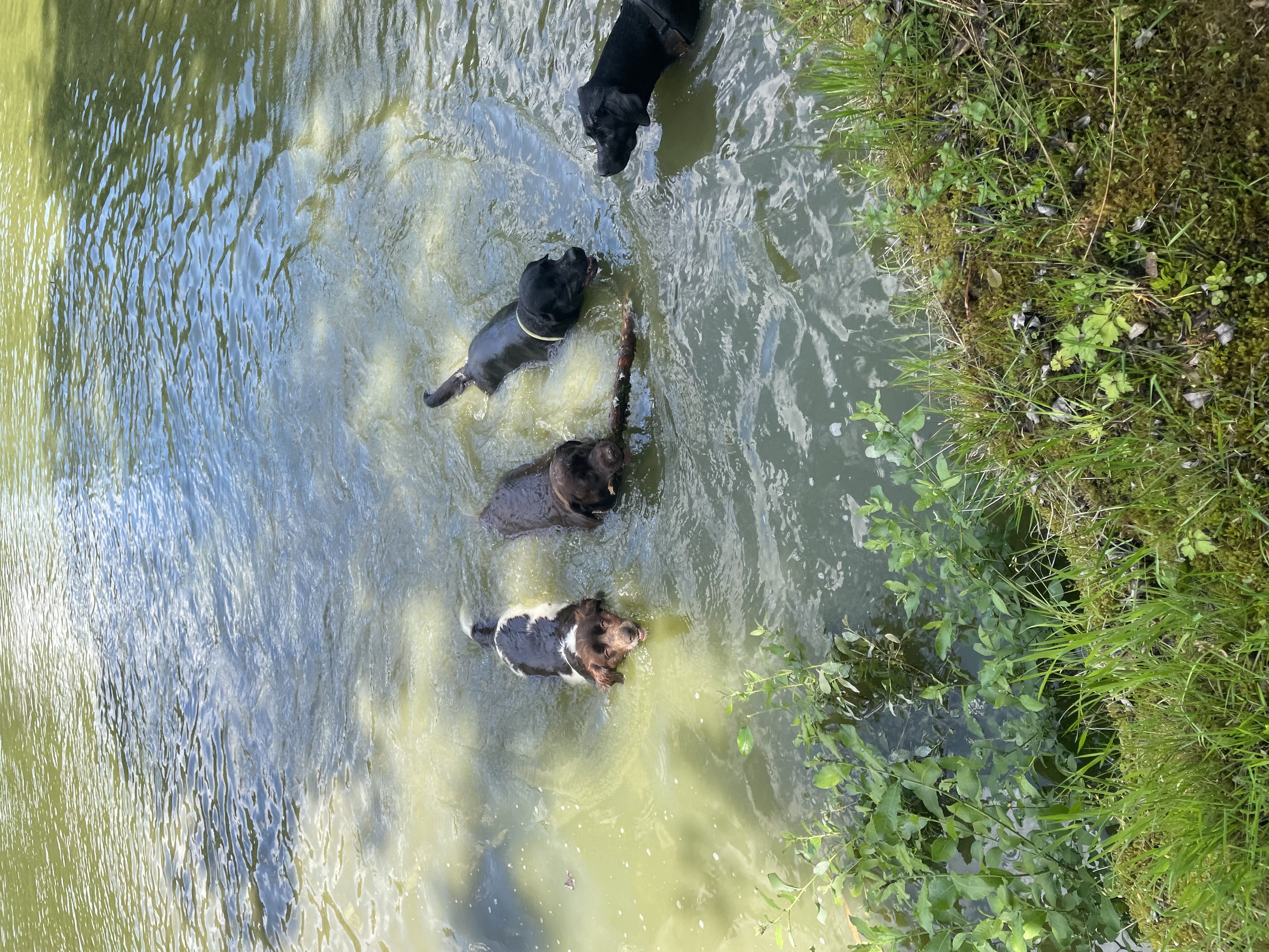 image-4