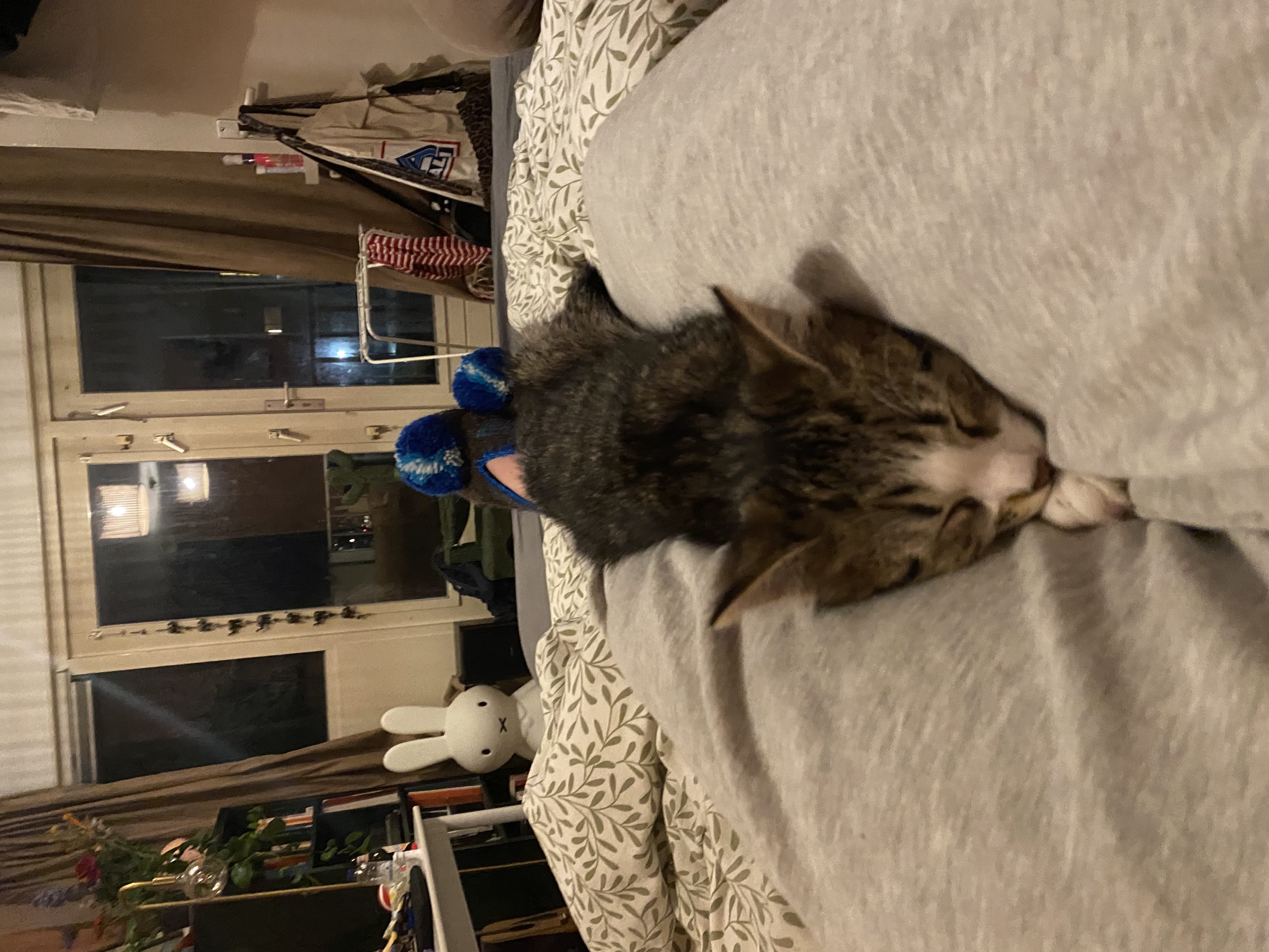 image-6