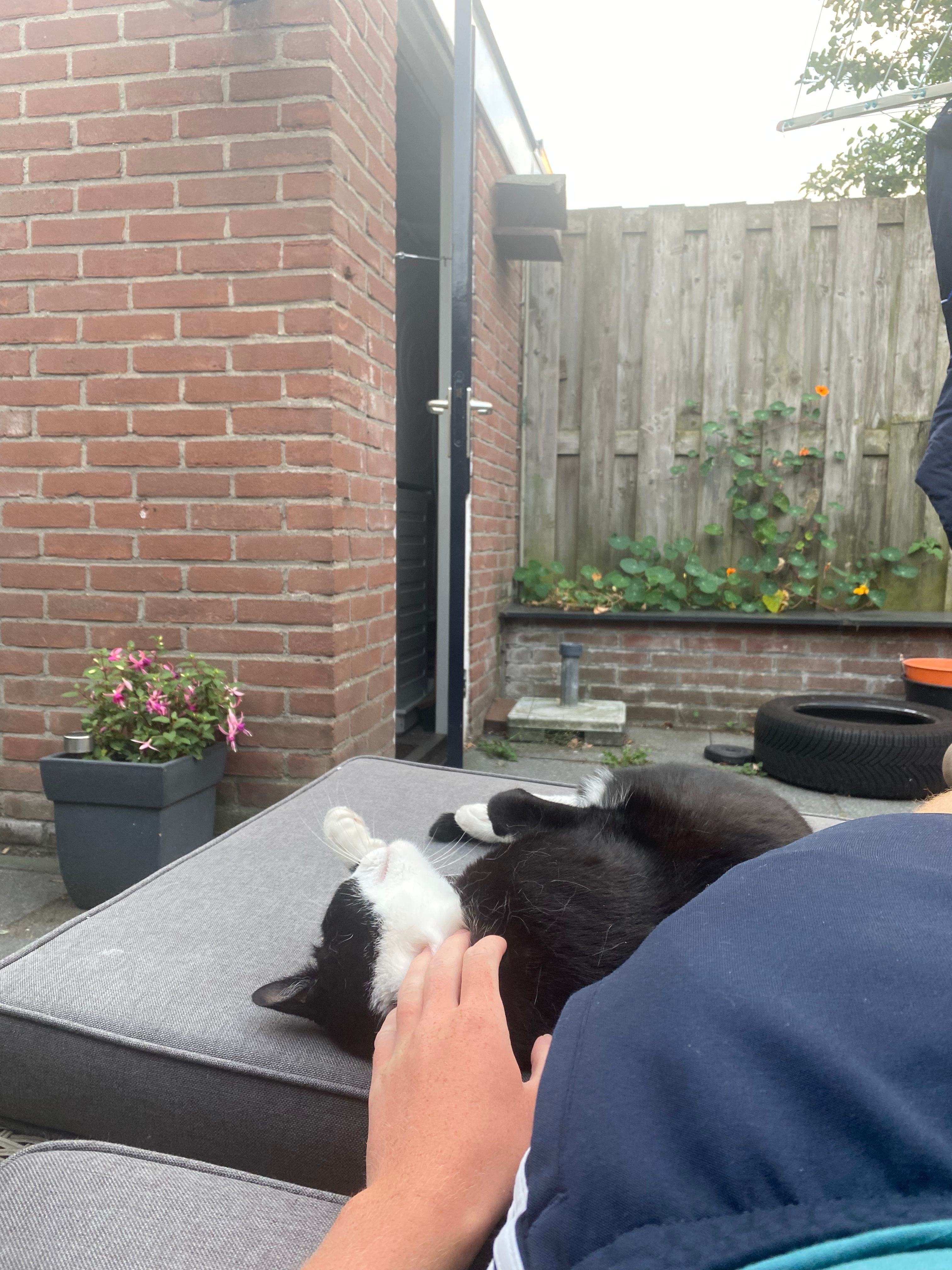 image-10