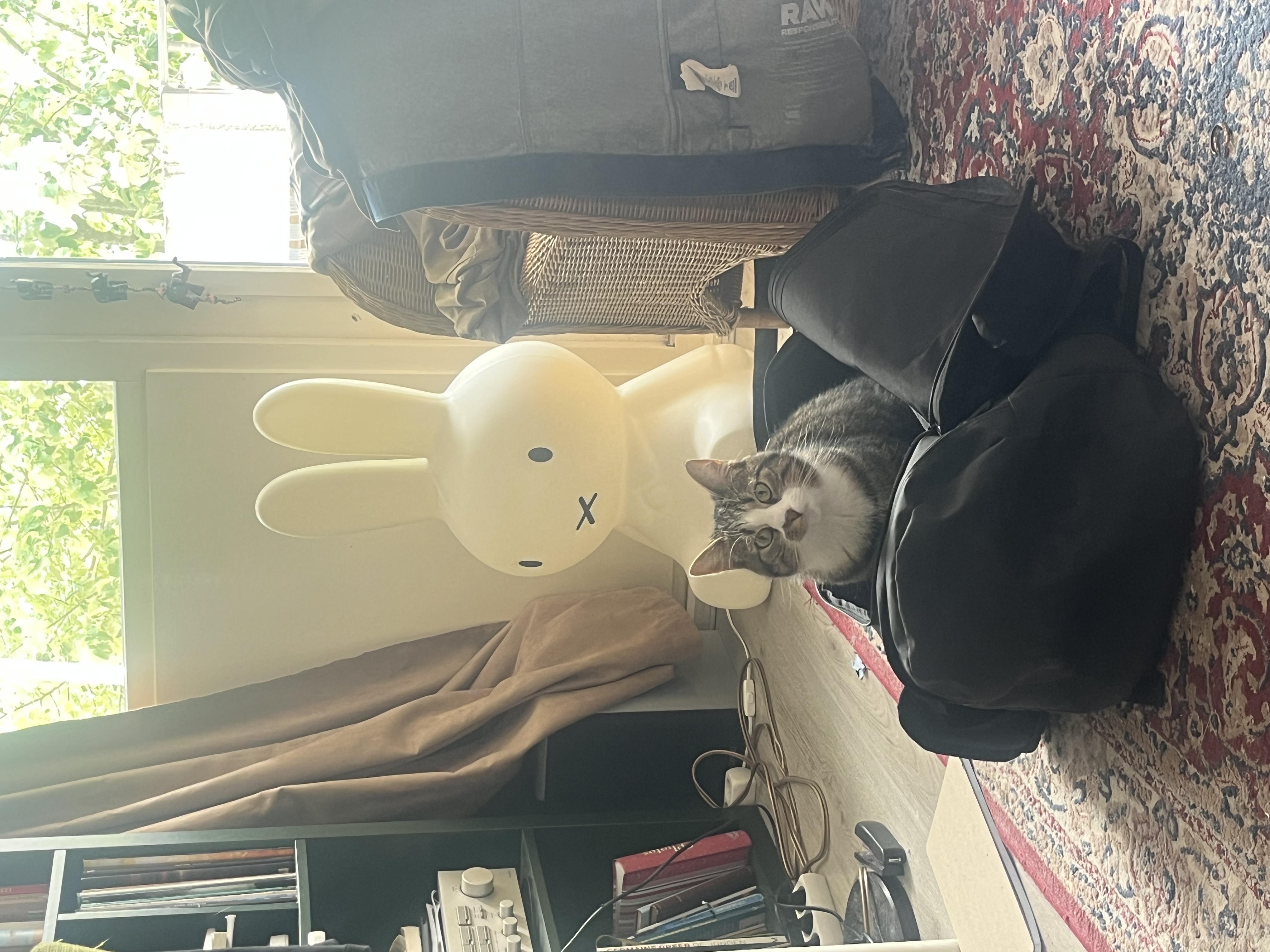 image-18