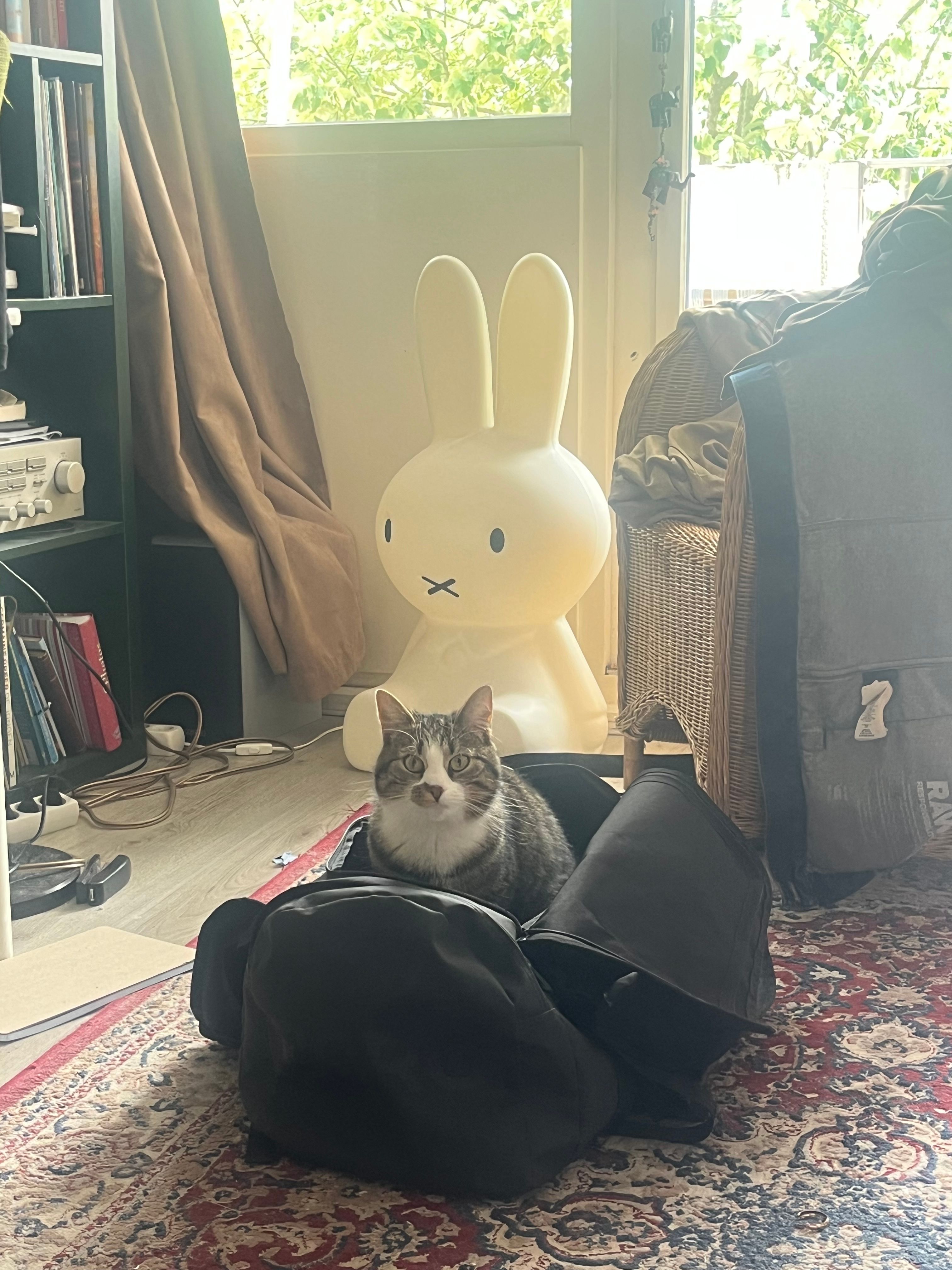 image-18
