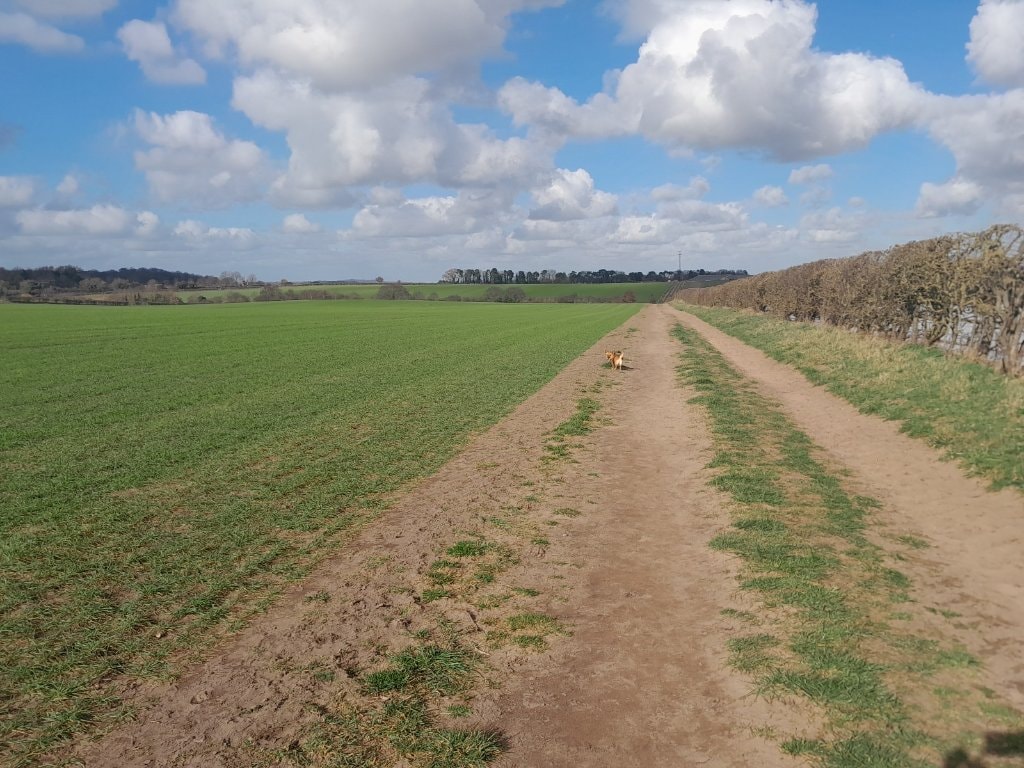 image-14