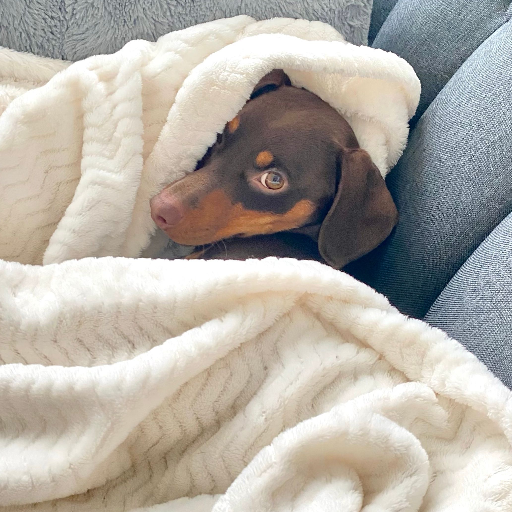 Toffee