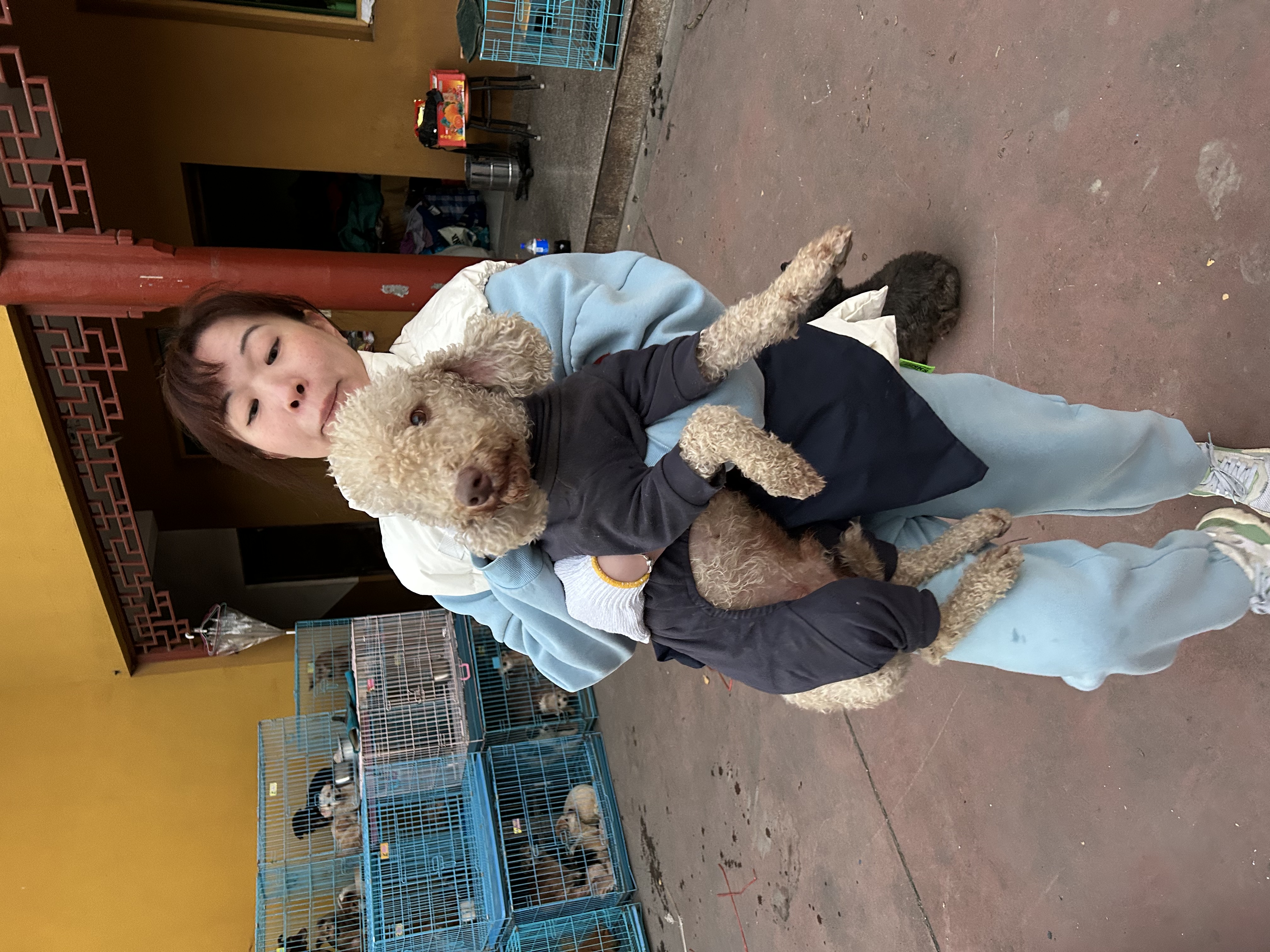 image-5