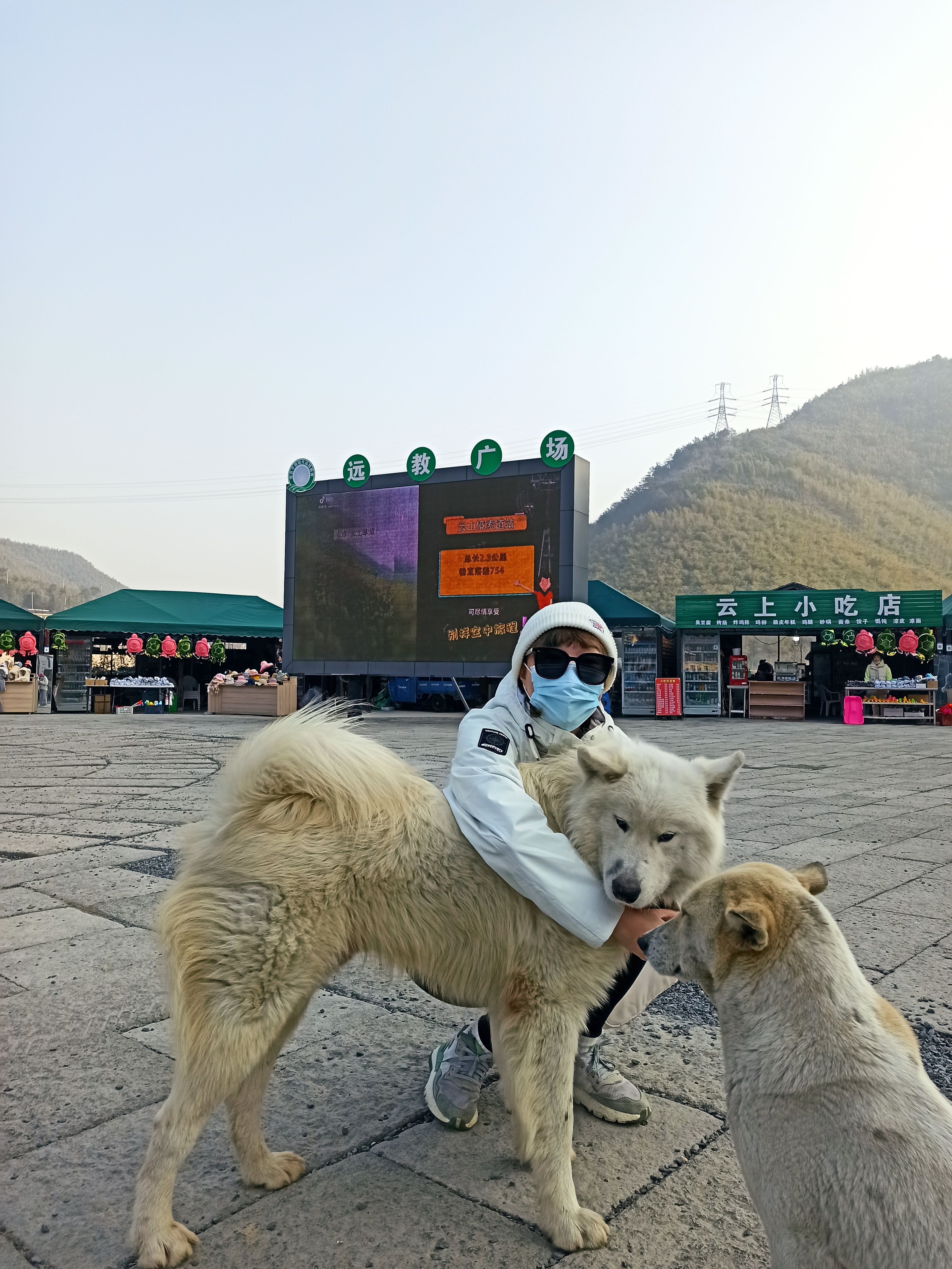 image-8