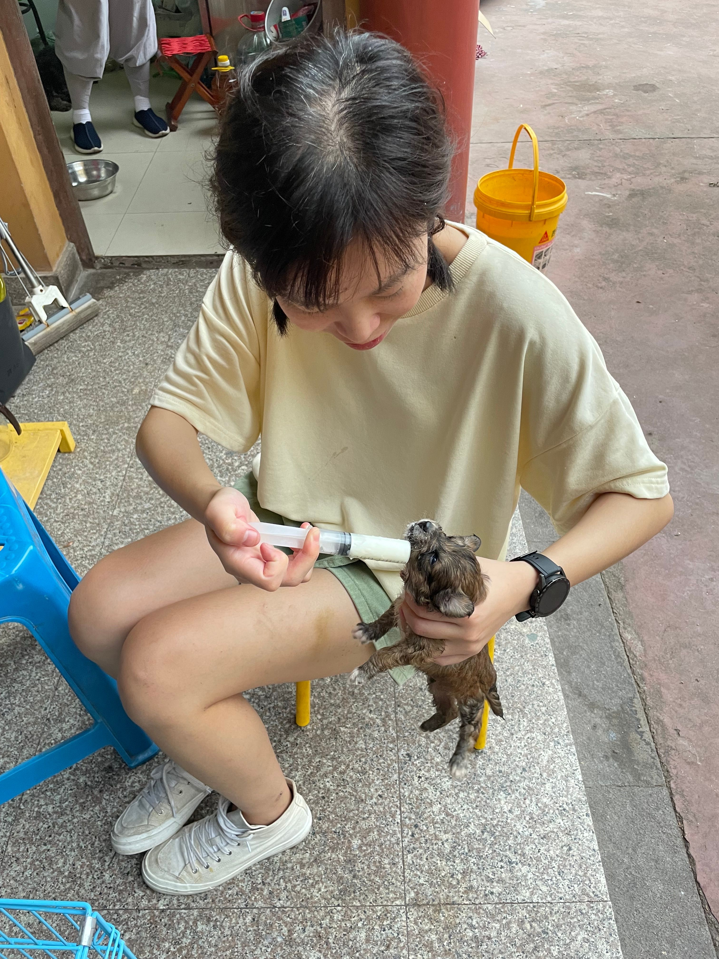 image-4