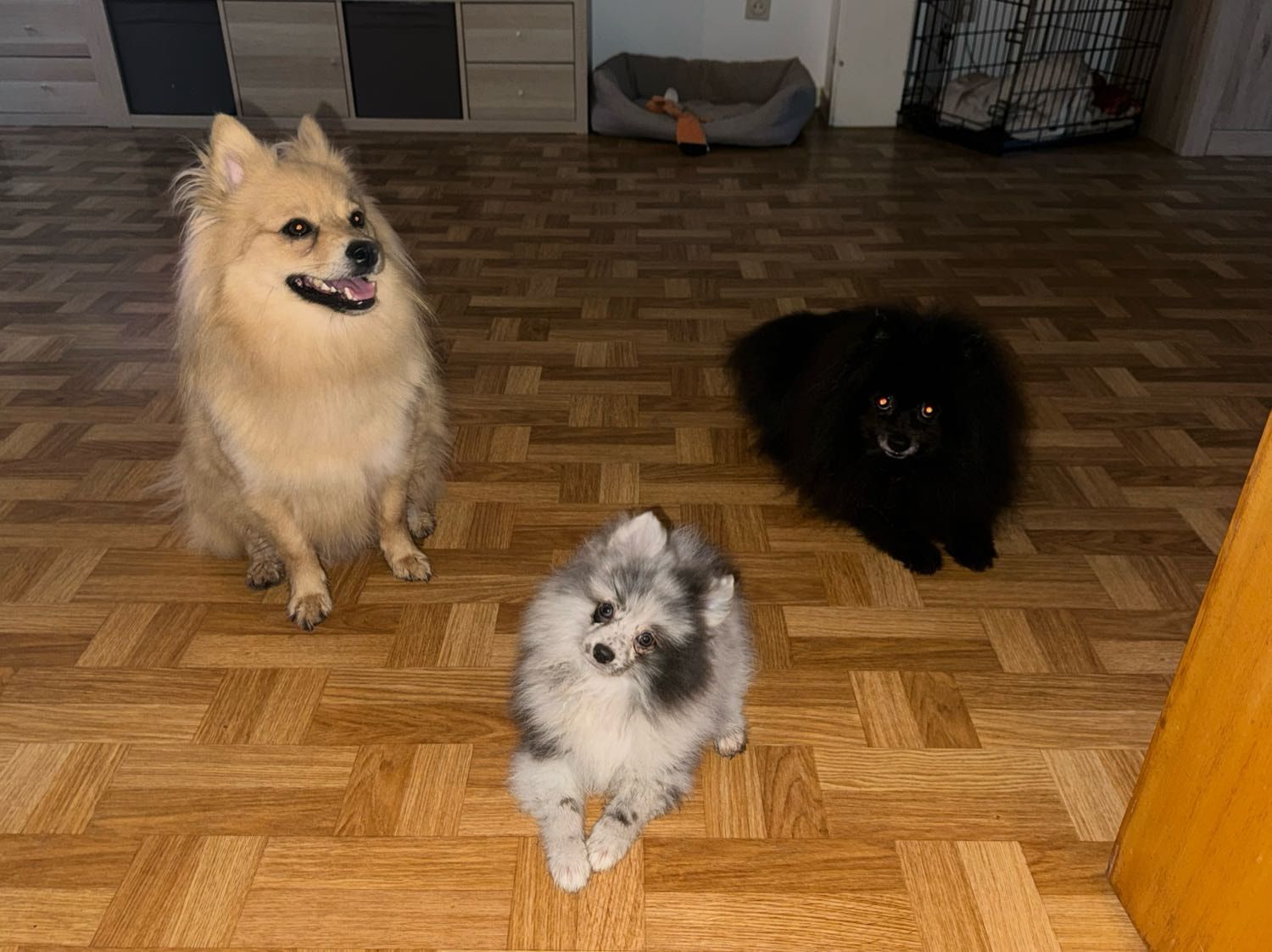 image-9
