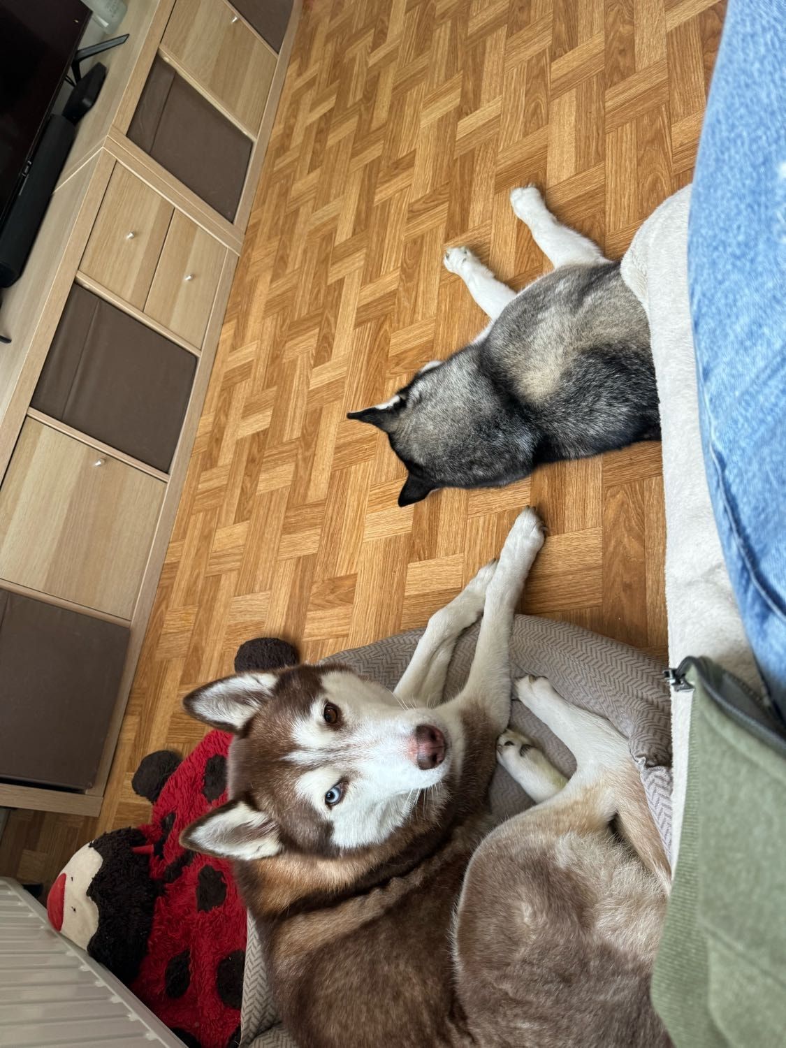 image-5