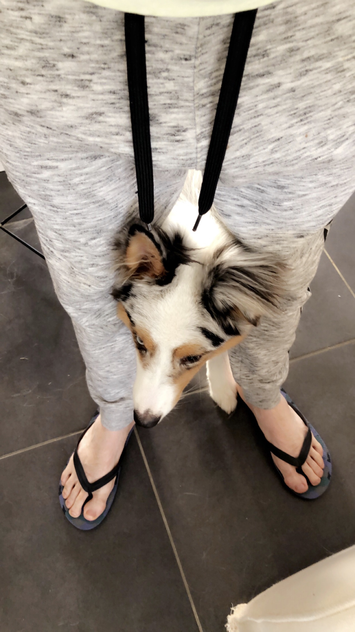 image-11