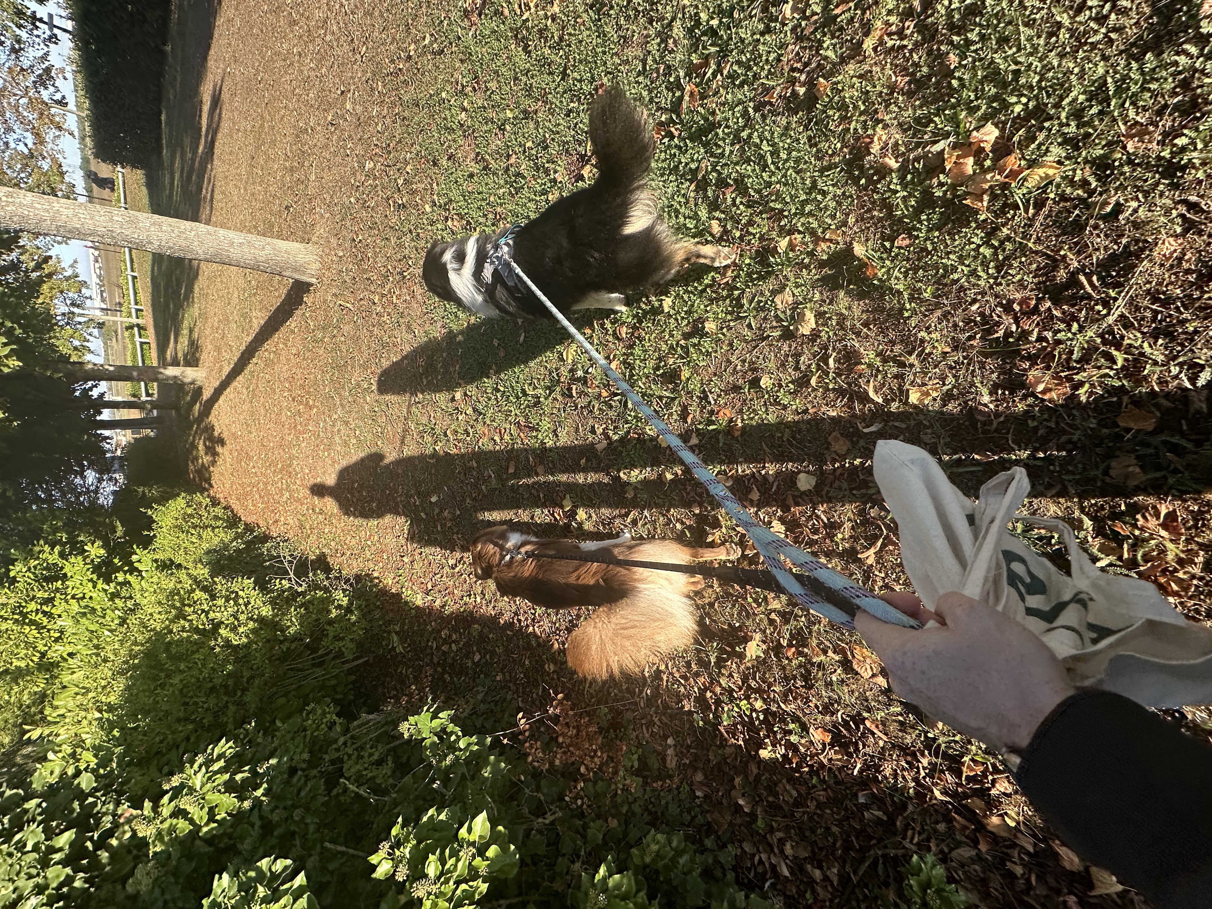 image-12