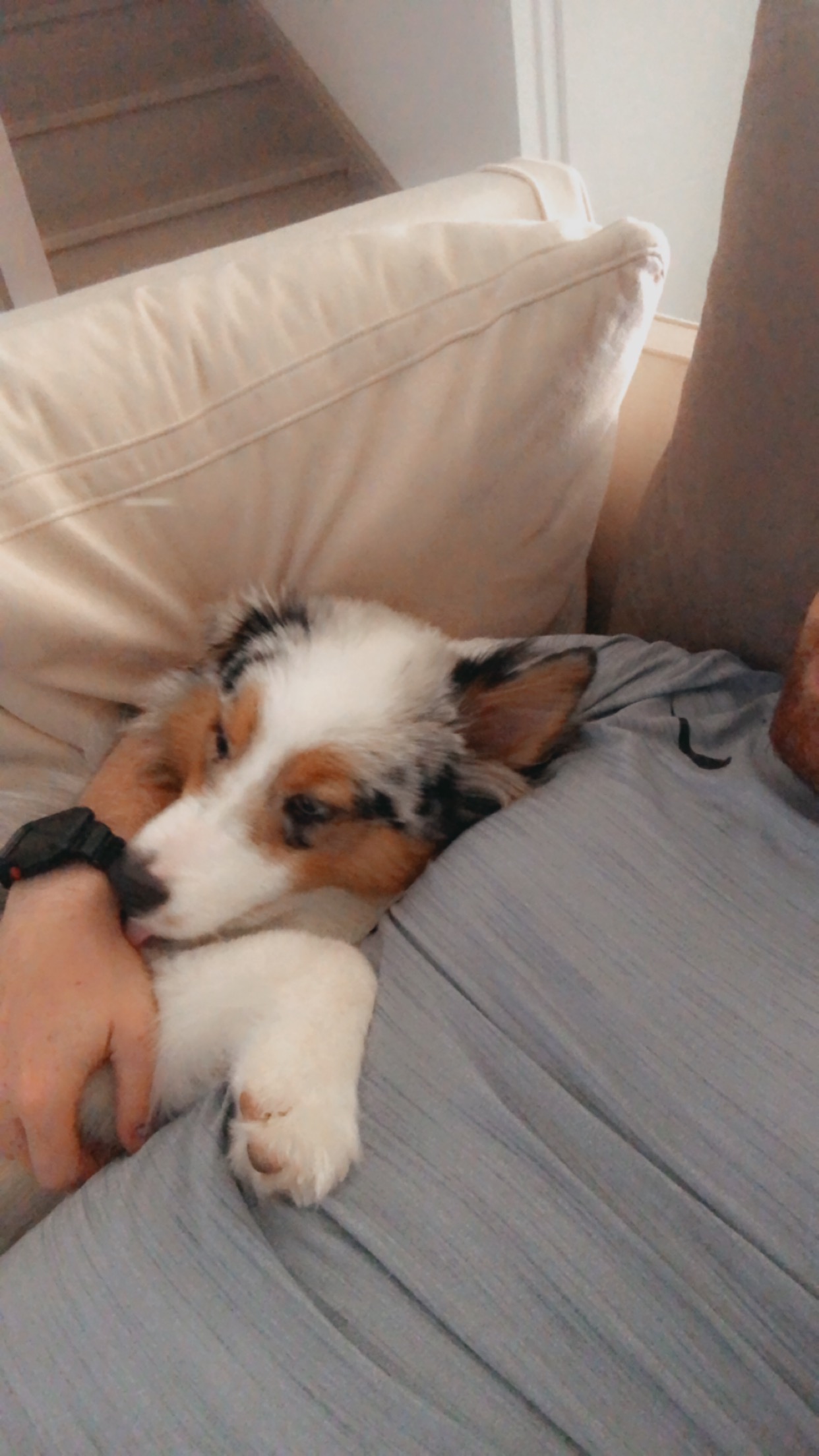 image-9