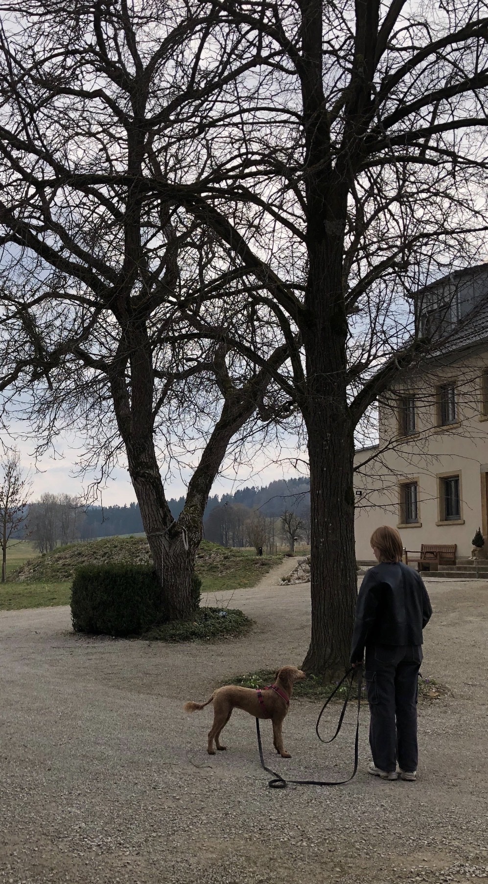 image-3