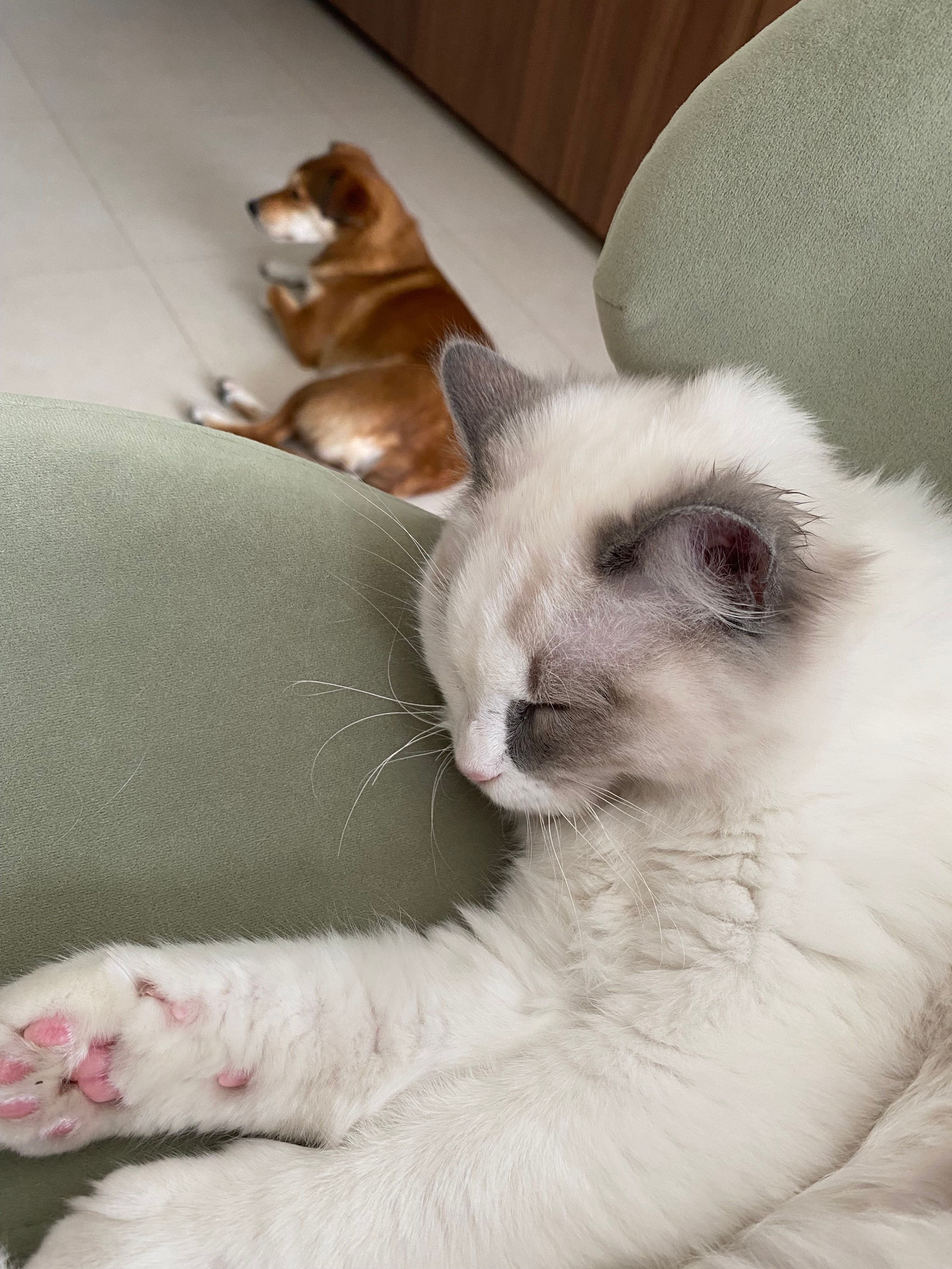 image-10