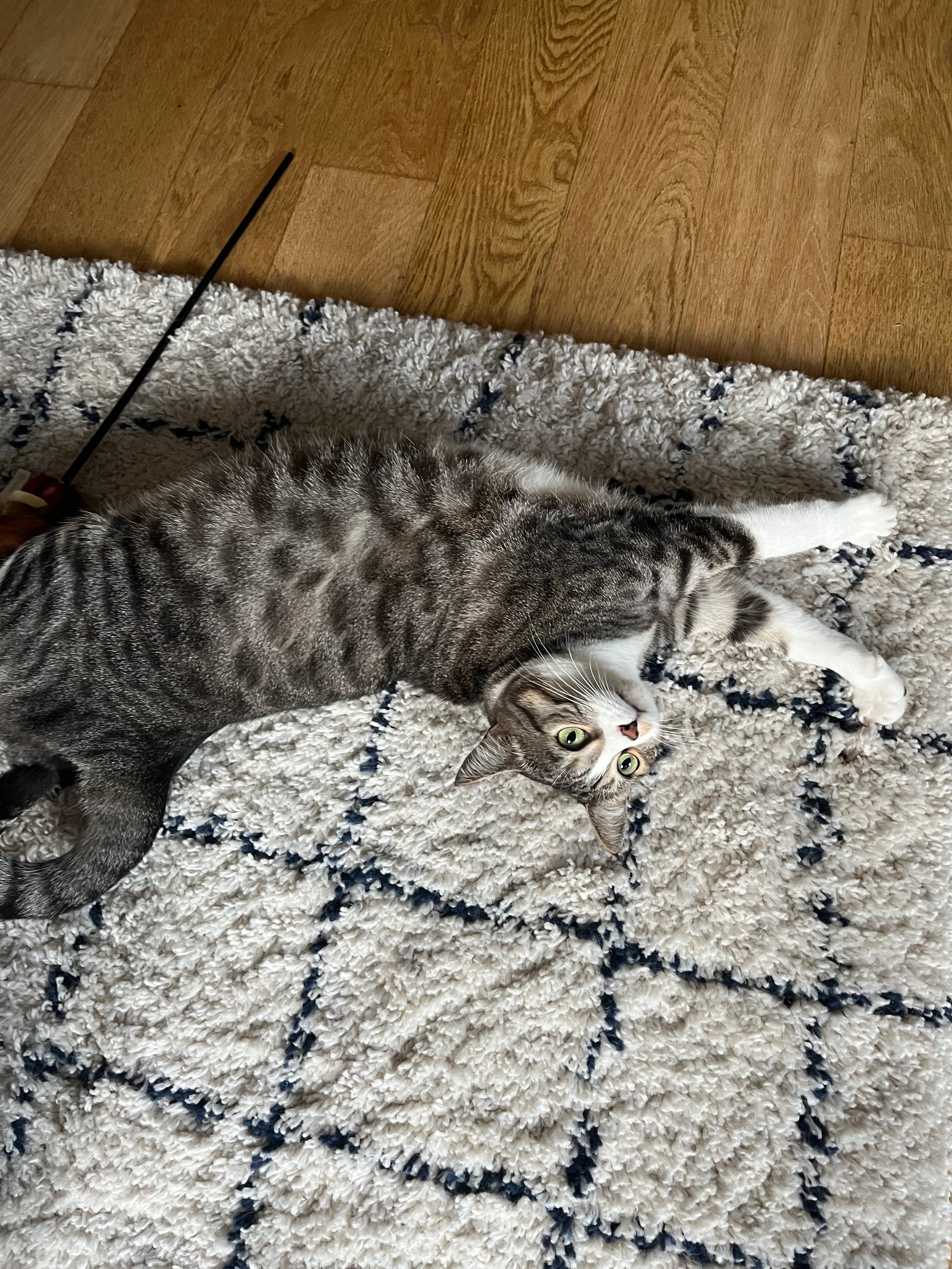 image-9