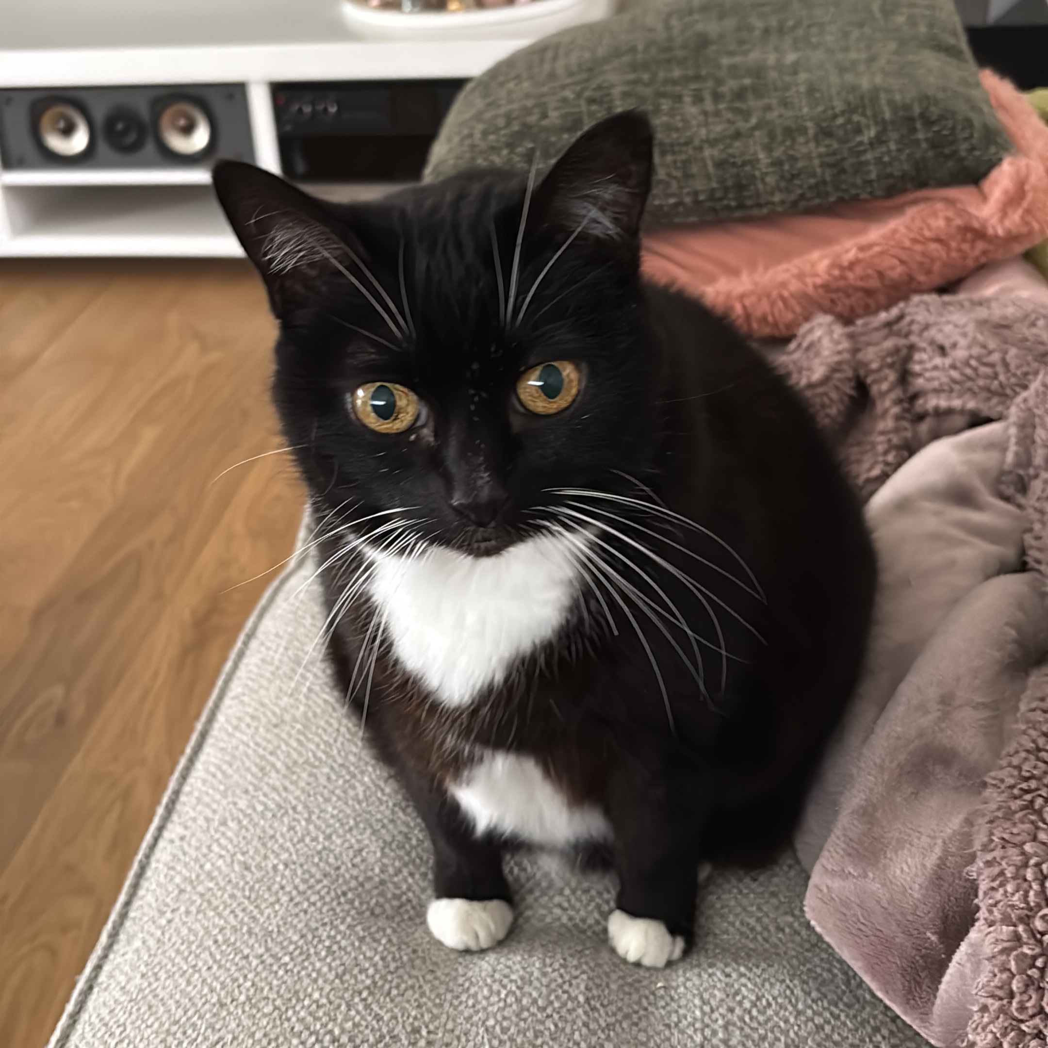 Lili