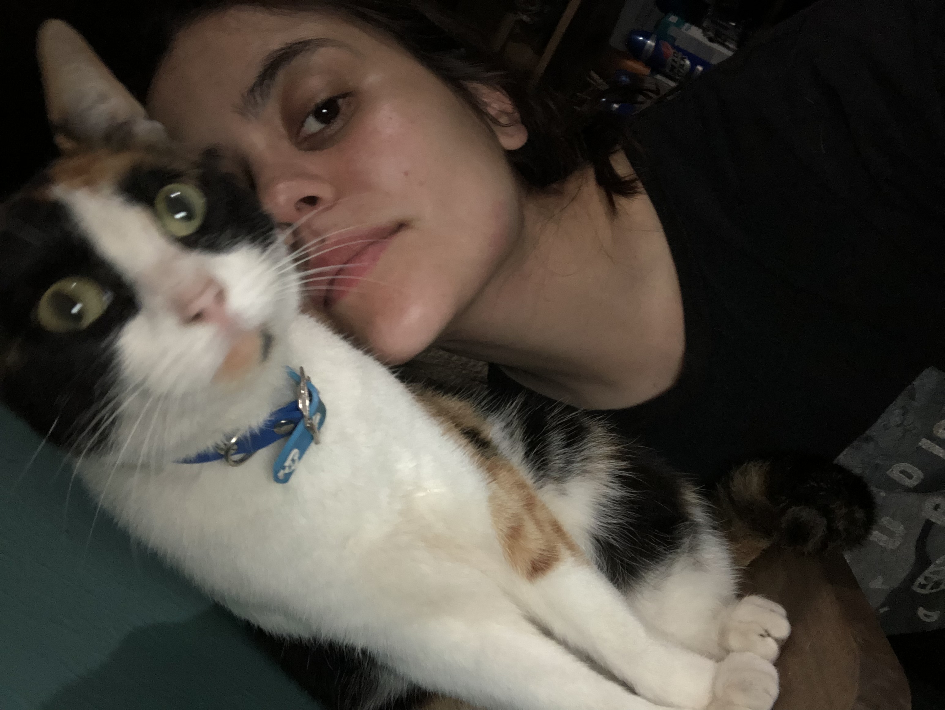 image-7