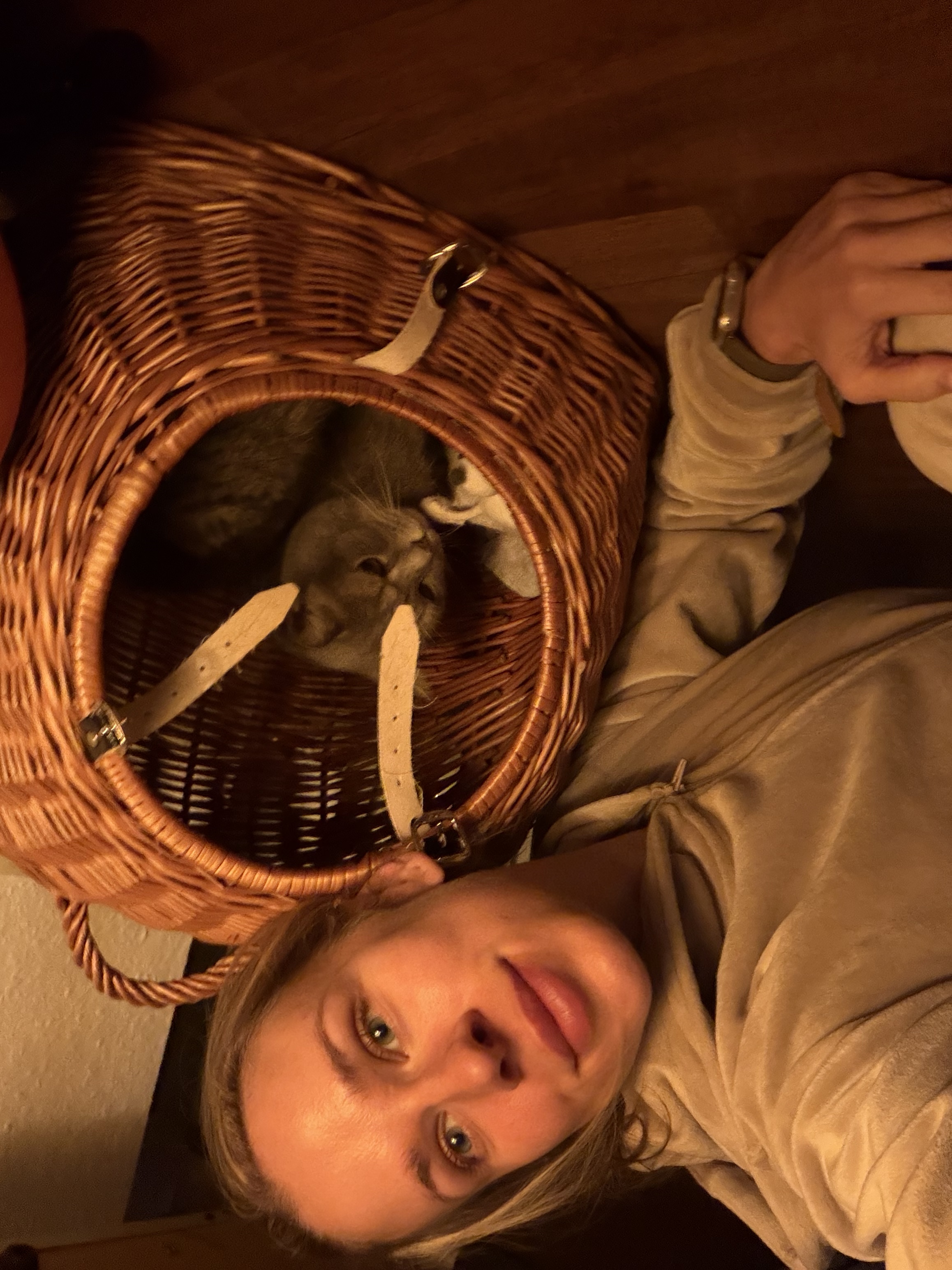 image-5