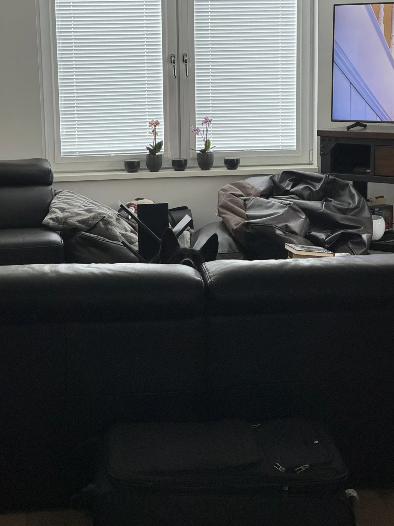 image-17