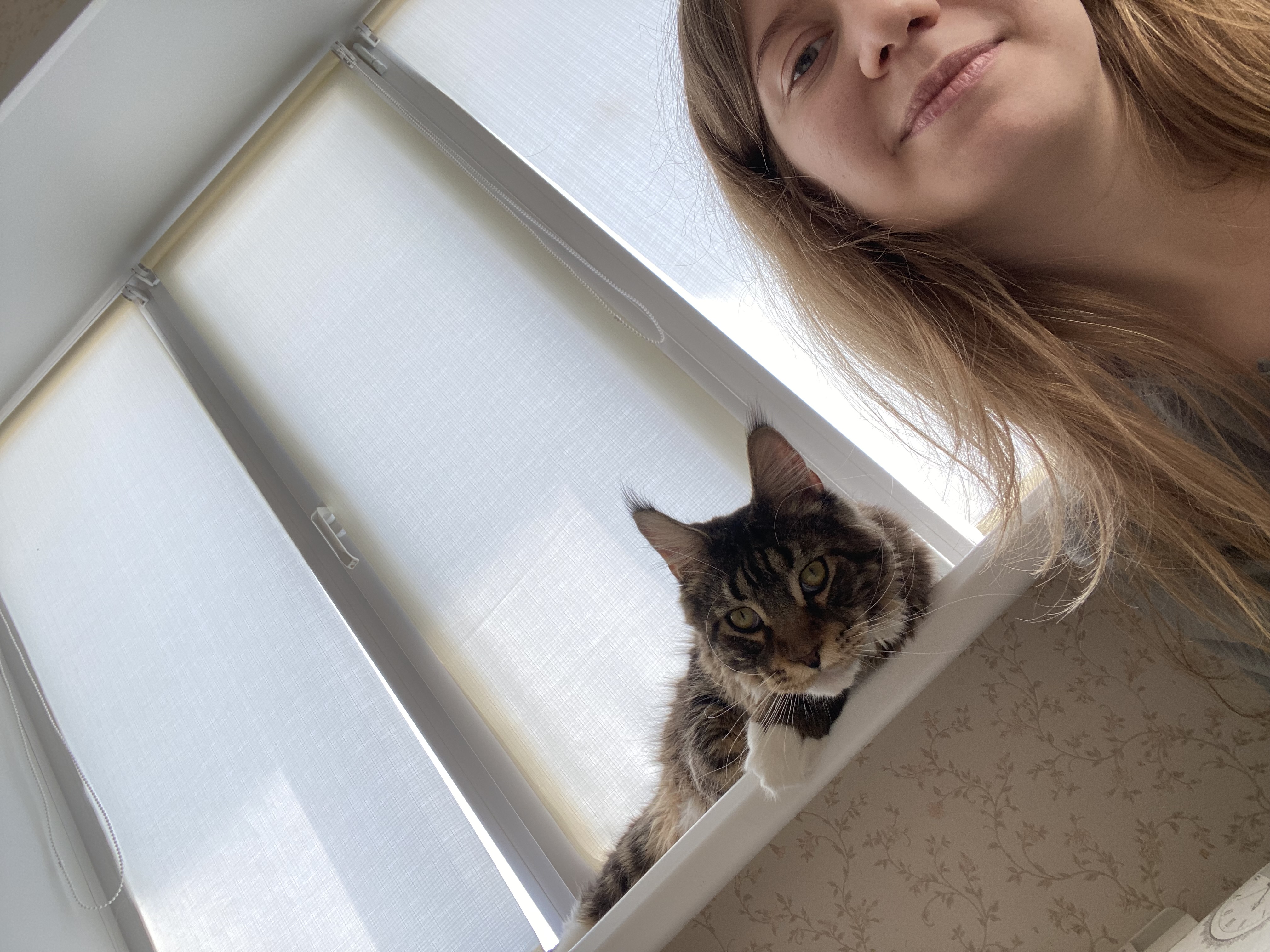 image-6