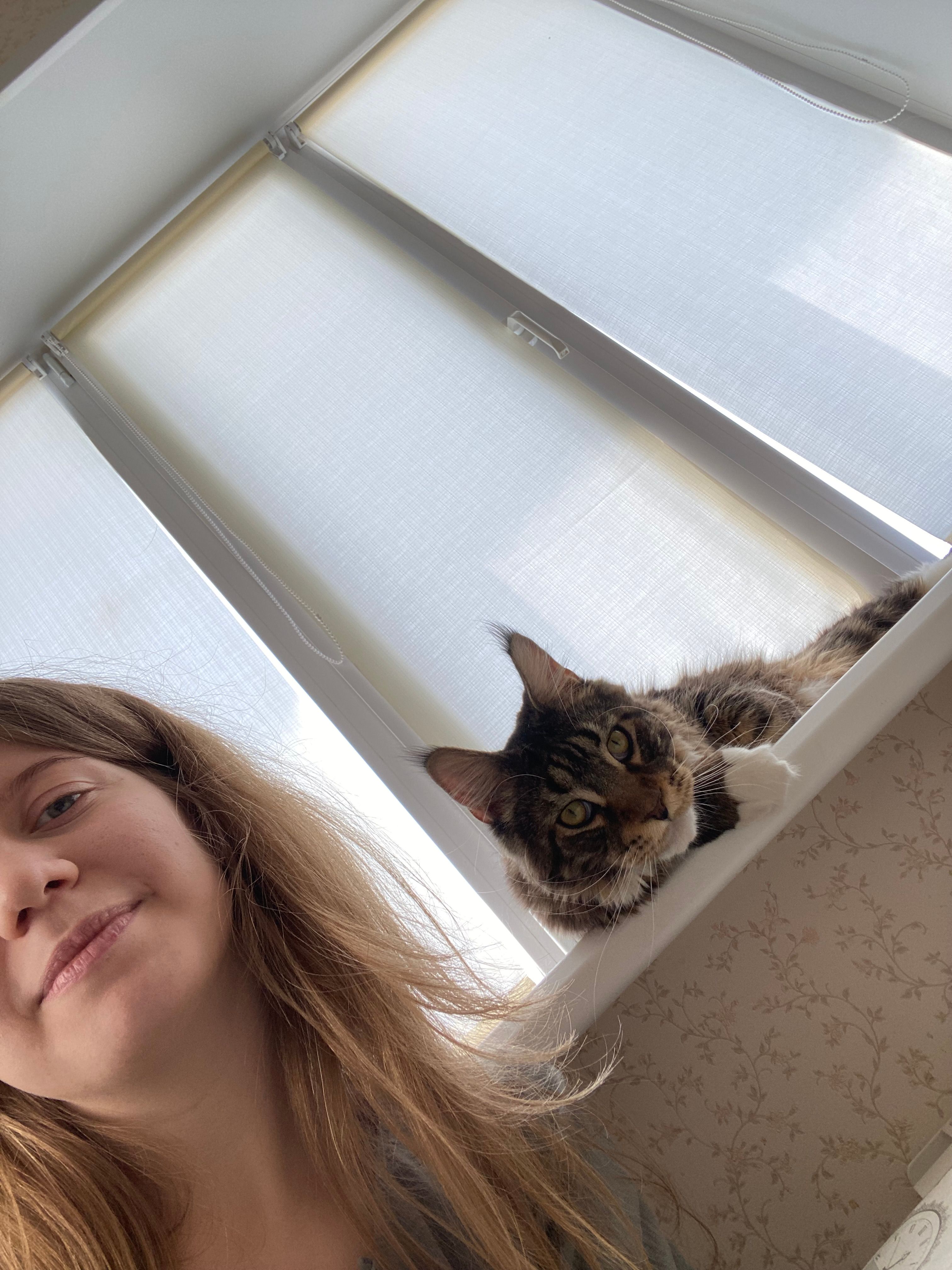image-6