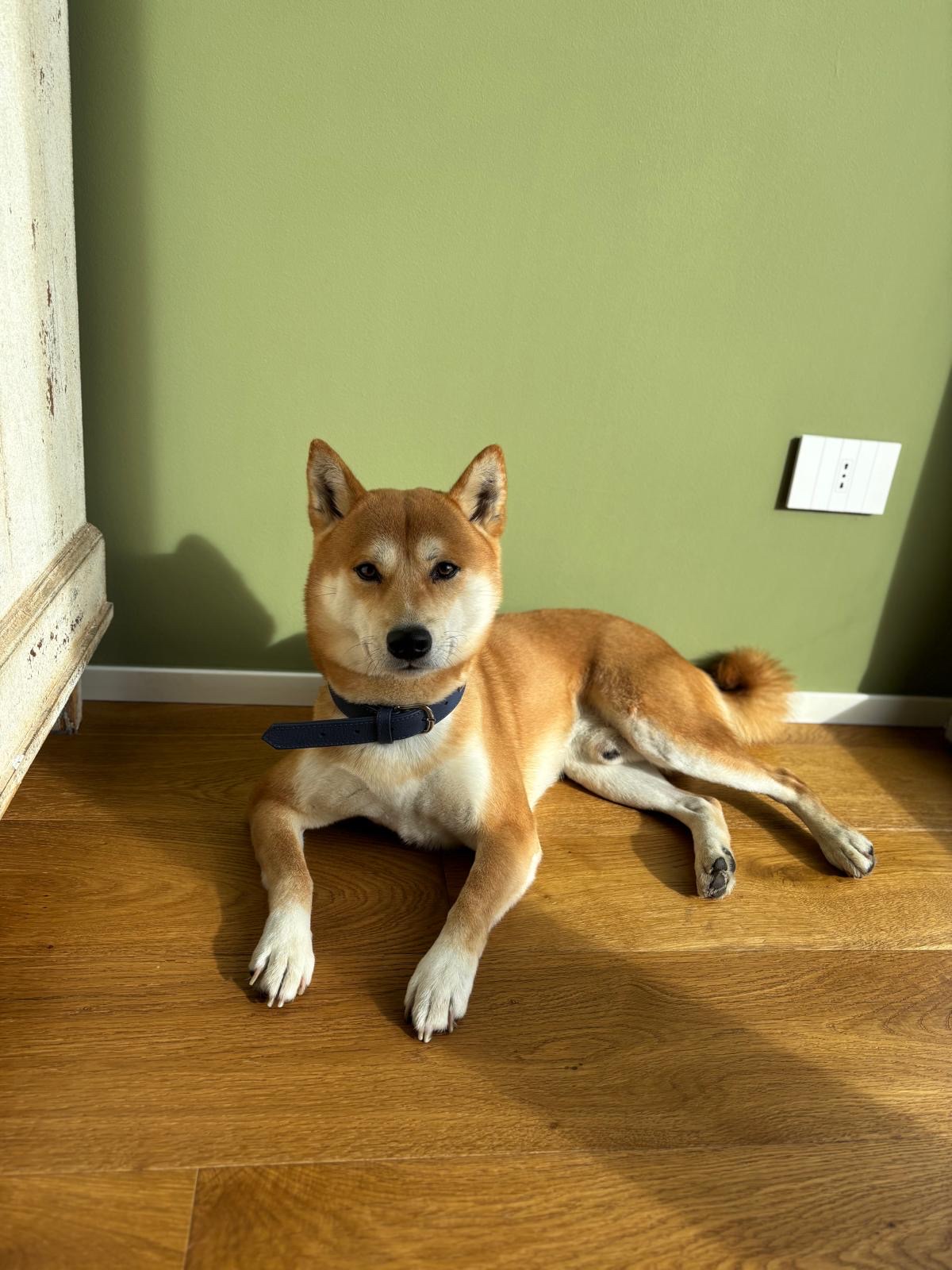 image-14