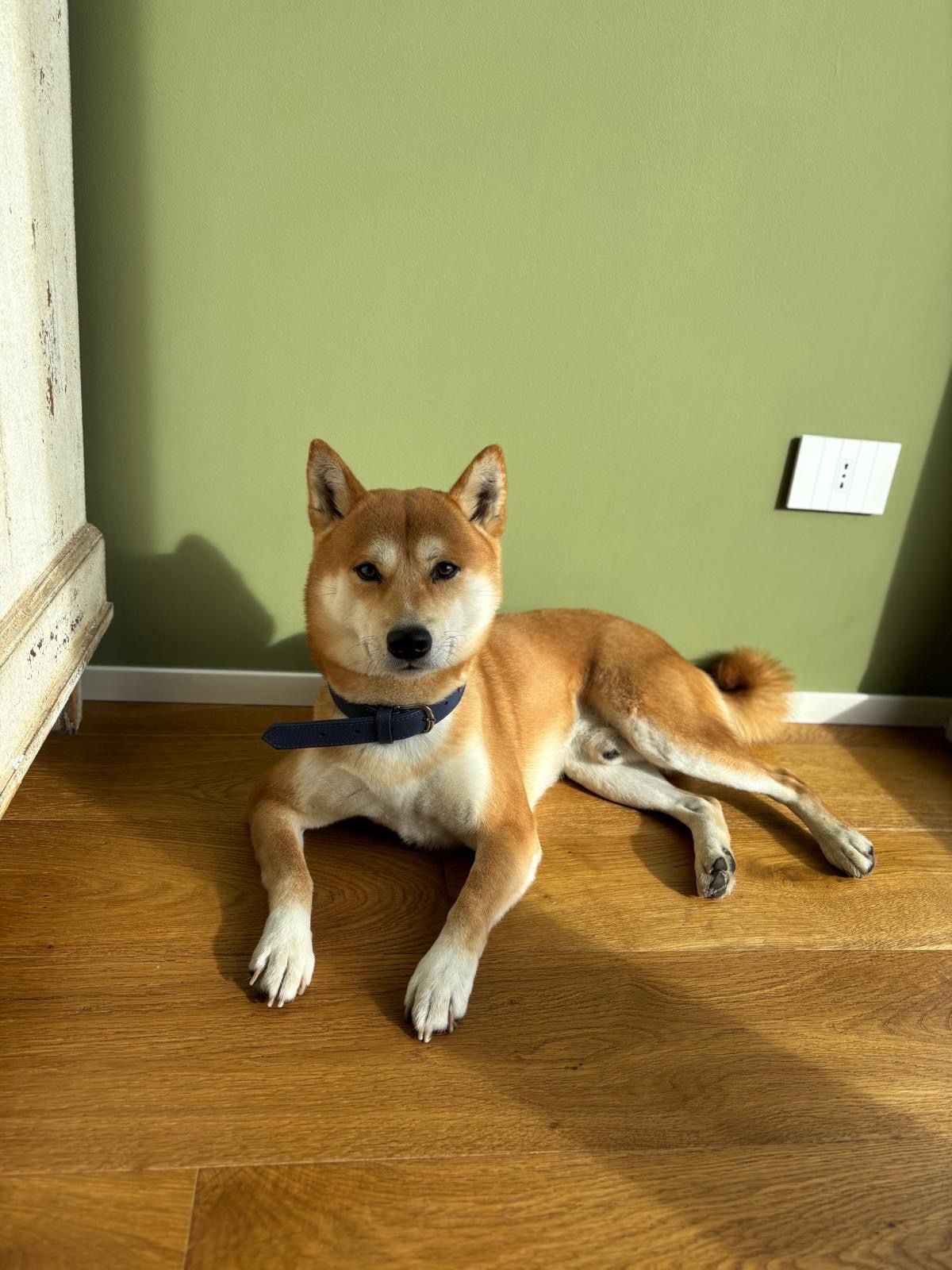 image-14