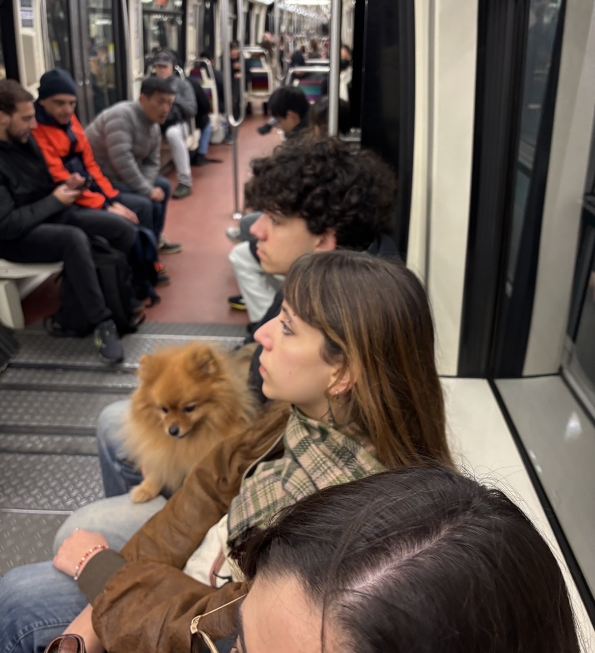 image-10