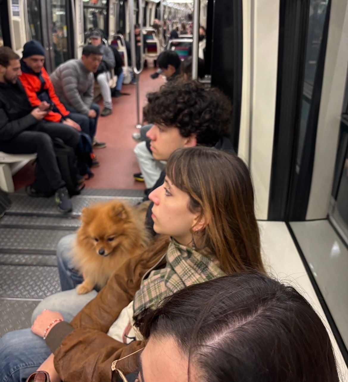 image-10