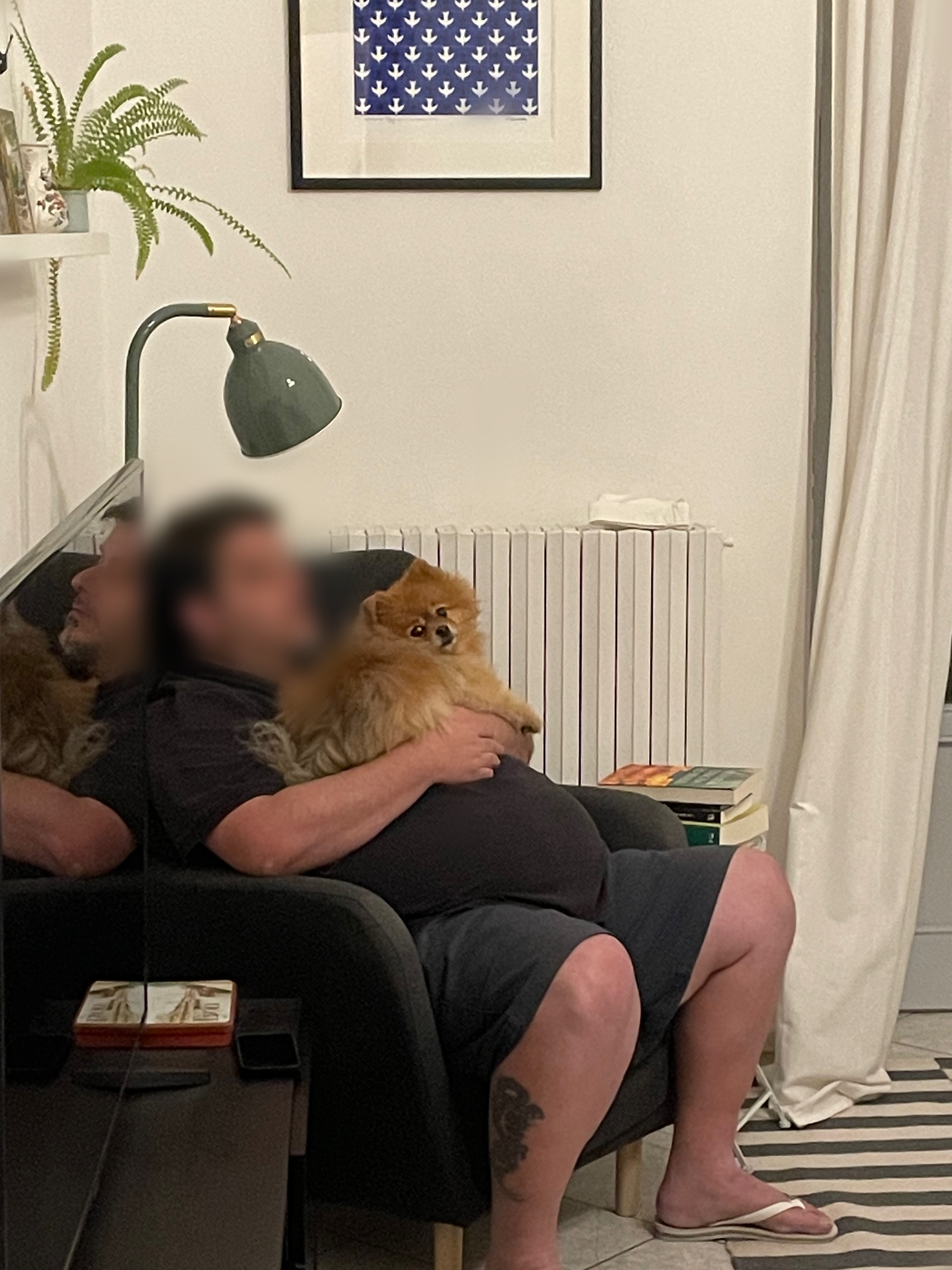 image-6