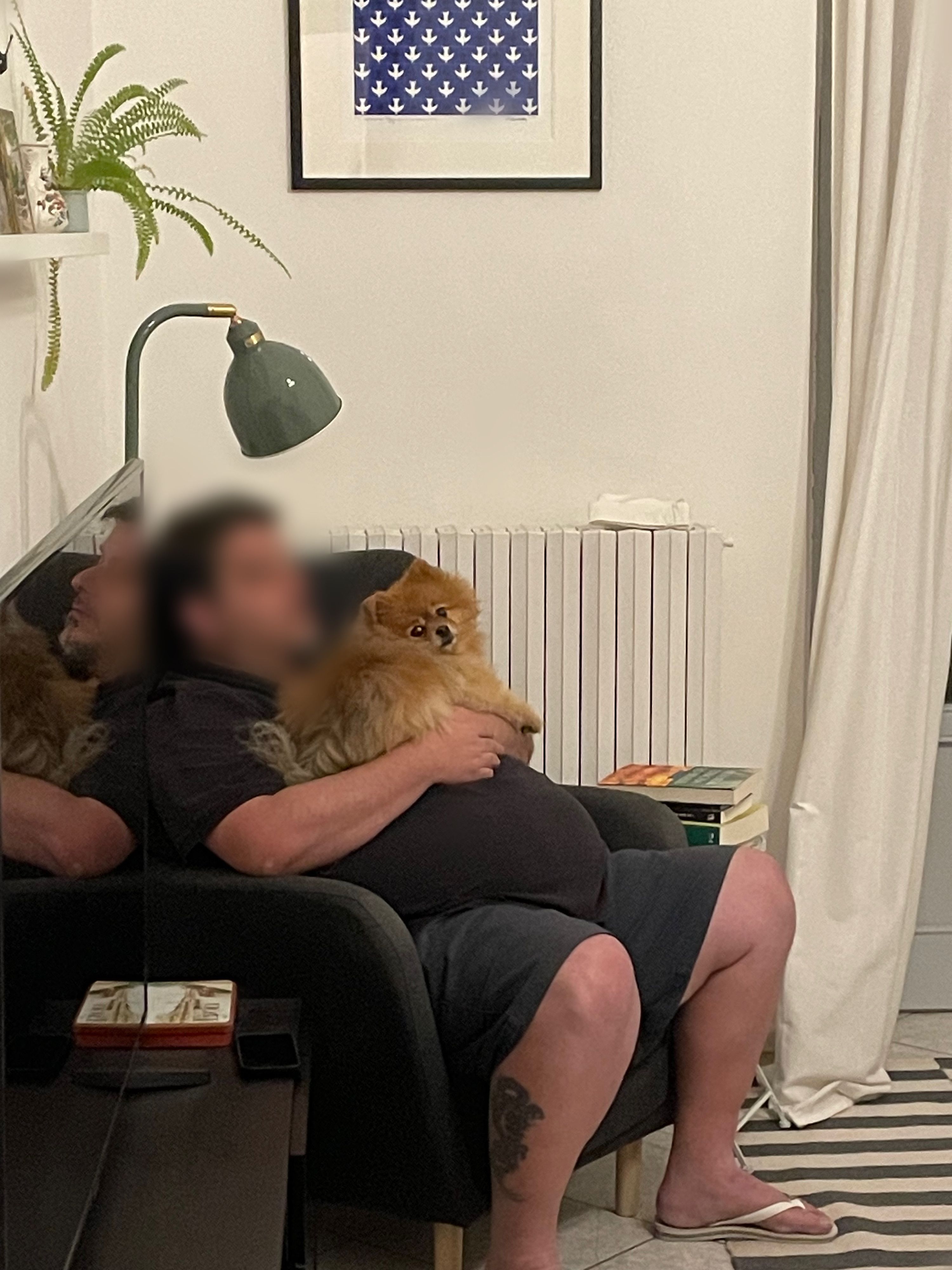 image-6