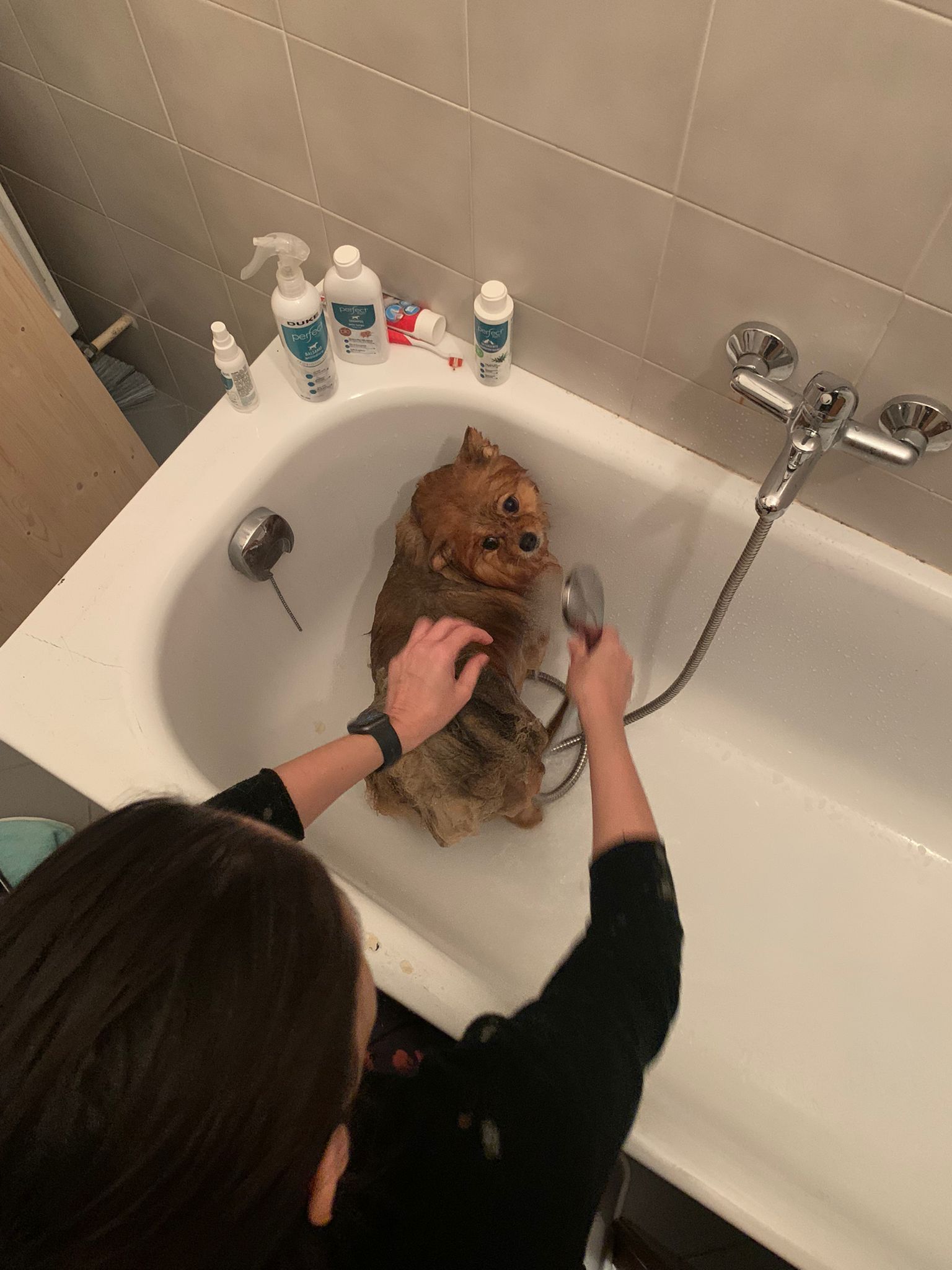 image-9