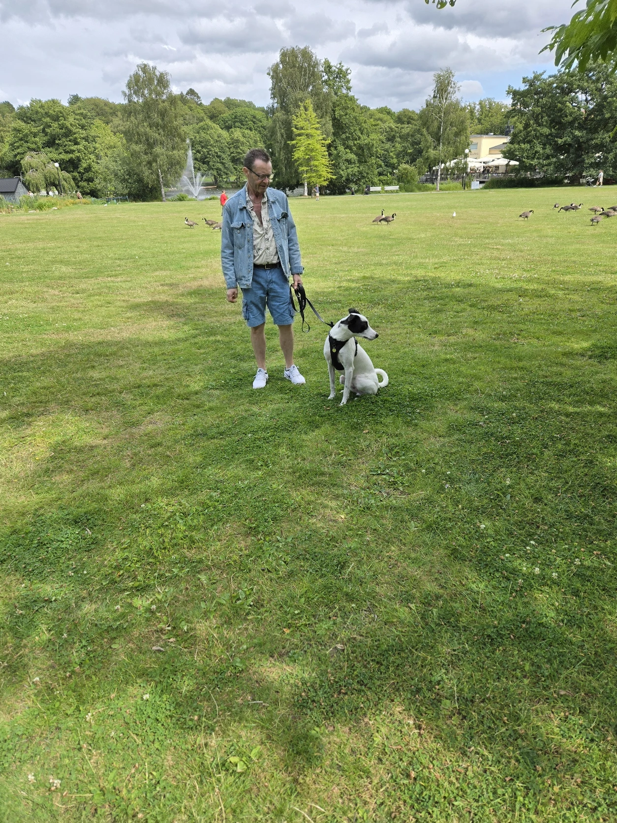 image-17