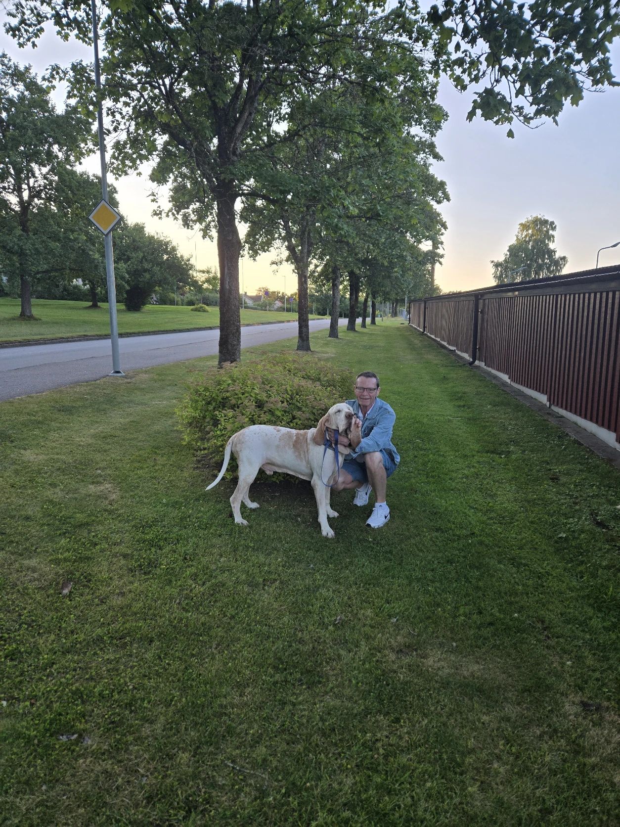 image-18