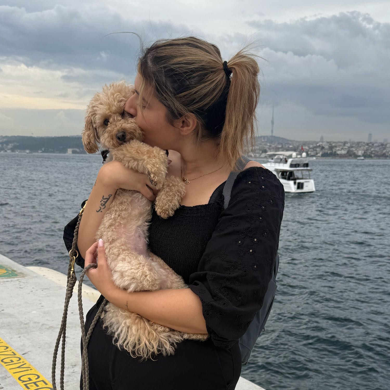 Melis