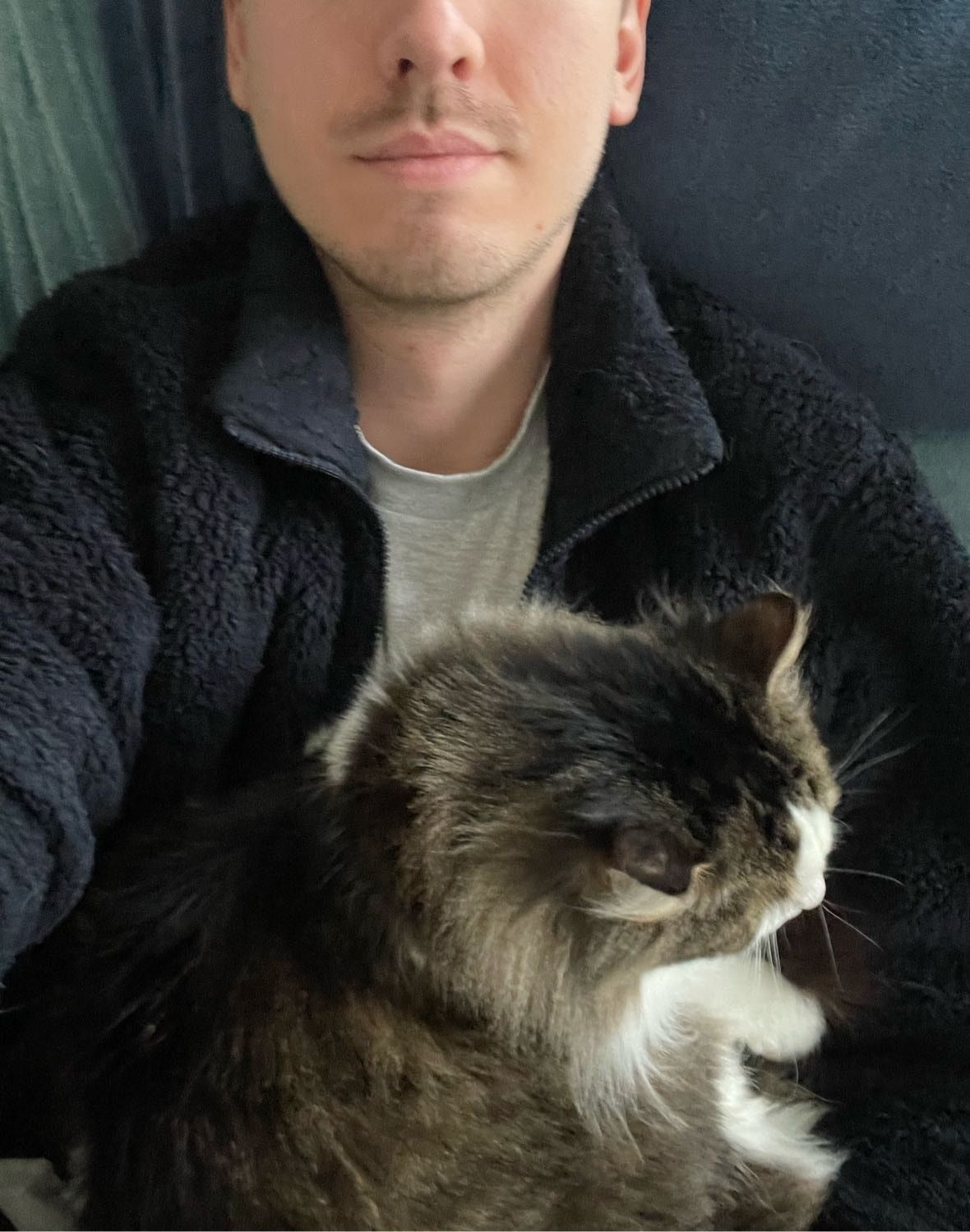 image-6