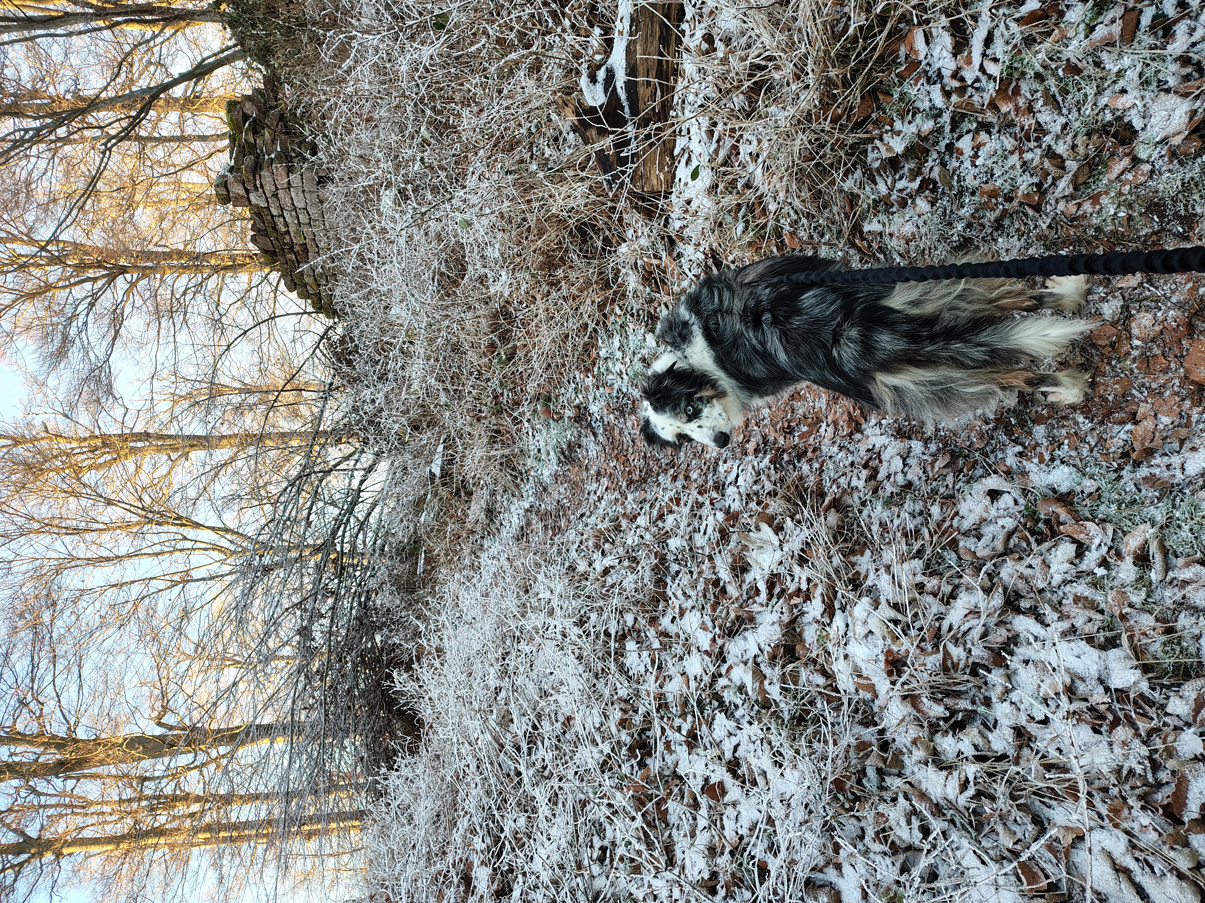 image-9