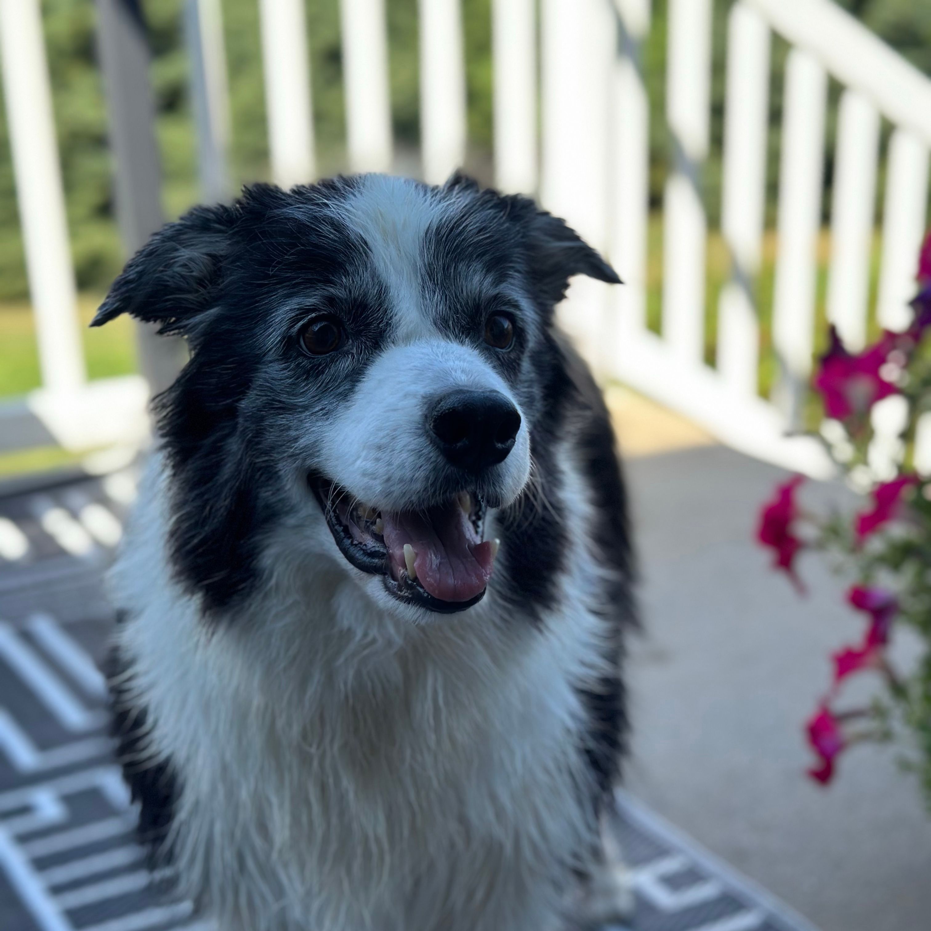 Molly